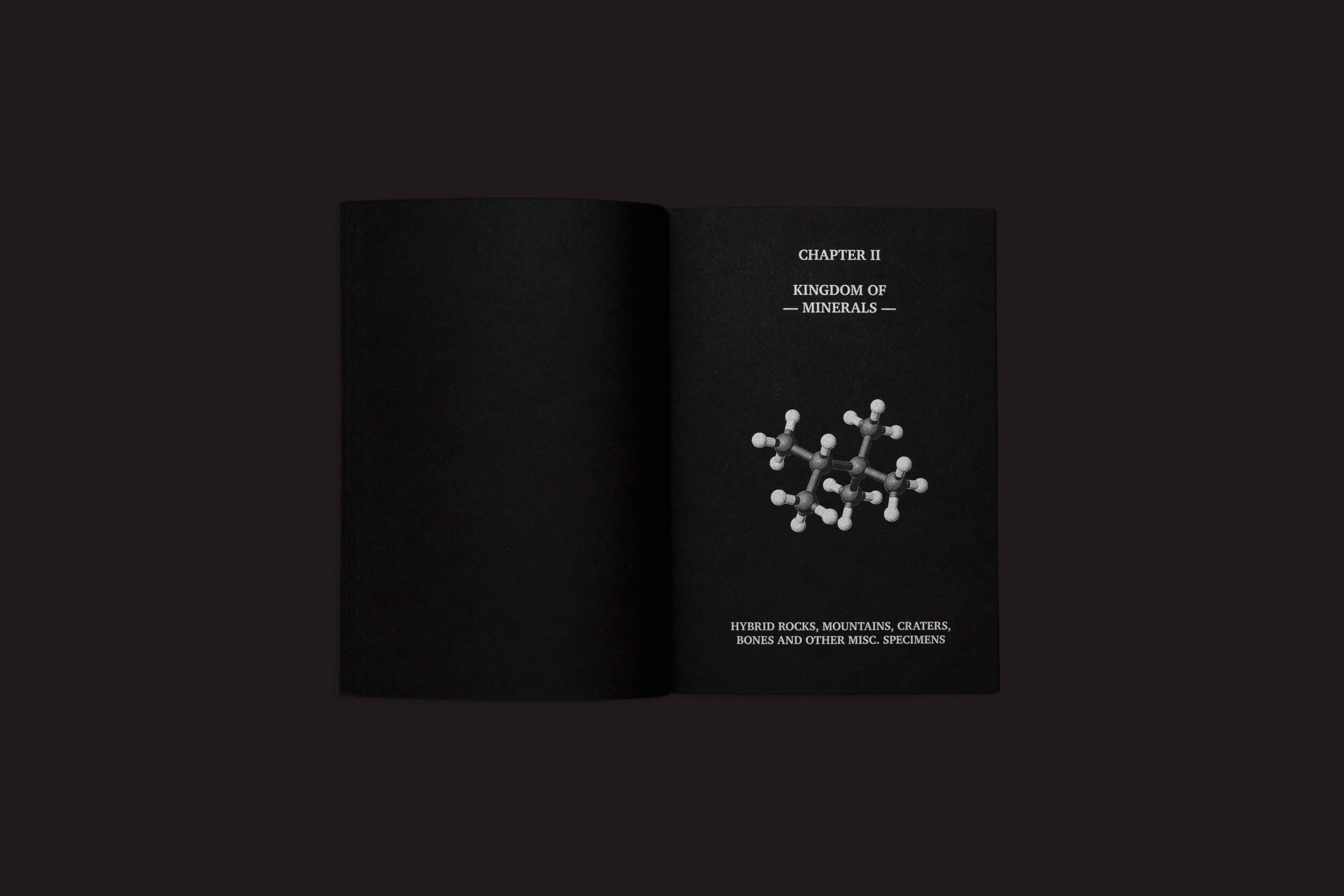 Um livro aberto em um fundo escuro revela "Capítulo II Reino dos Minerais", com uma imagem de estrutura molecular abaixo. Ele diz: "Casco Híbrido, Montanhas, Crateras, Ossos e Outros Espécimes Misc.", inspirado por Um Bestiário do Antropoceno de Set Margins'.