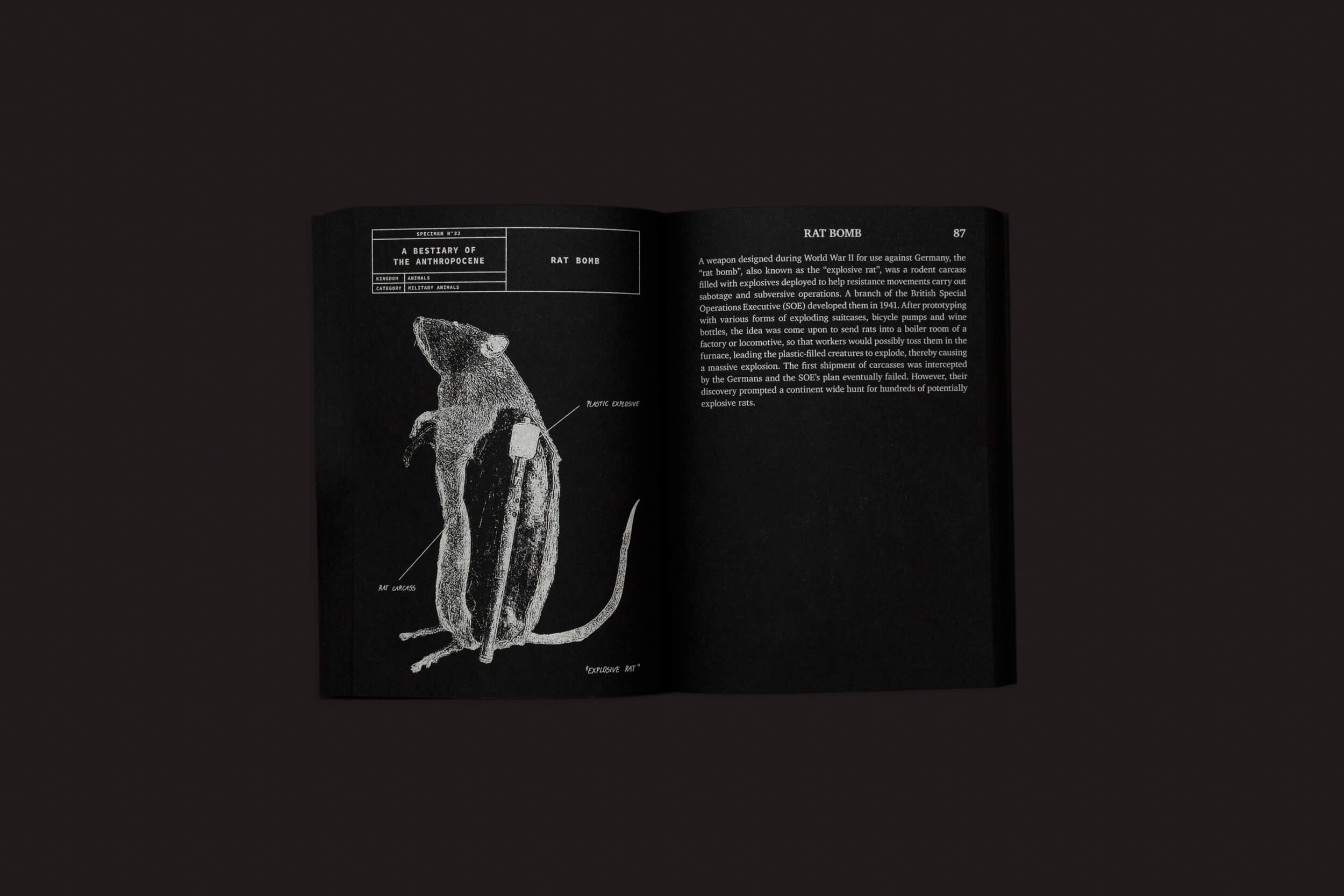 Um Bestiário do Antropoceno de Nicolas Nova e Disnovation.org da Set Margins está aberto em uma superfície escura, mostrando uma ilustração de um rato com um artigo intitulado "Bomba de Rato", detalhando partes do corpo etiquetadas usadas na guerra moderna nesta era pós-natural.