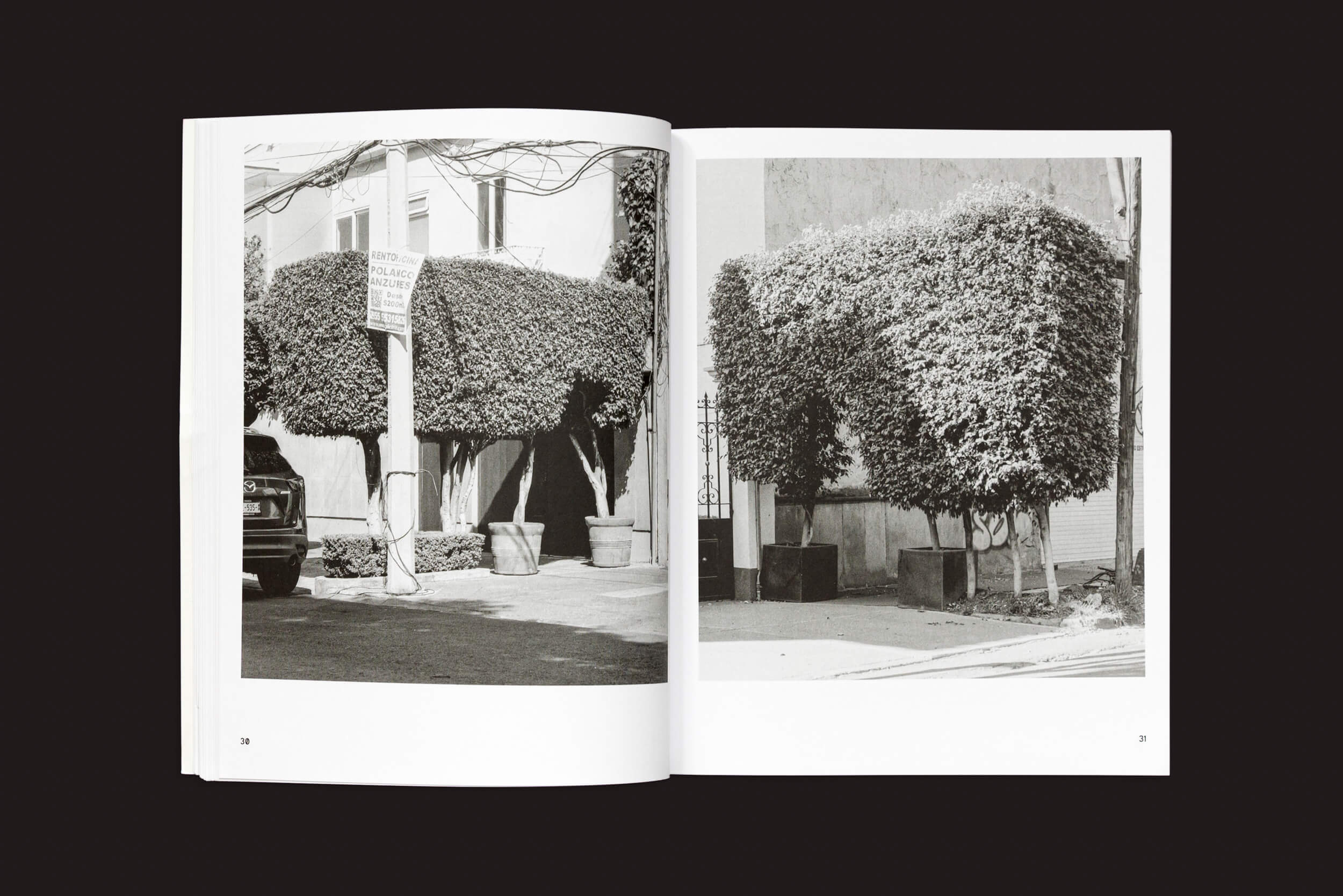 Uma foto em preto e branco de Rubén Montesinos: A Guide on Gardening da Handshake mostra topiário em retângulos ao lado de uma paisagem urbana. Perto dali, plantas em vasos, um carro estacionado e fios aéreos contribuem para a expressão cultural.