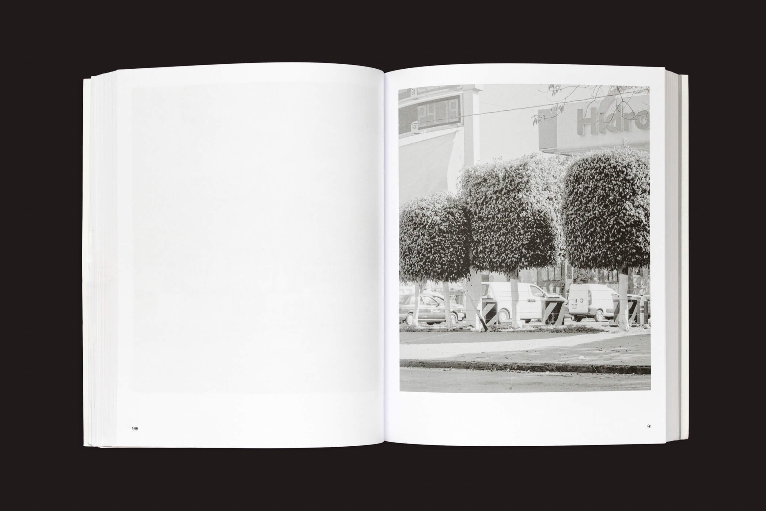 A página direita de Rubén Montesinos: A Guide on Gardening, da Handshake, mostra uma foto em preto e branco de uma cena de topiaria com árvores em formato de cubo ao longo de uma rua urbana, combinando perfeitamente com a paisagem urbana, enquanto a página esquerda está em branco.