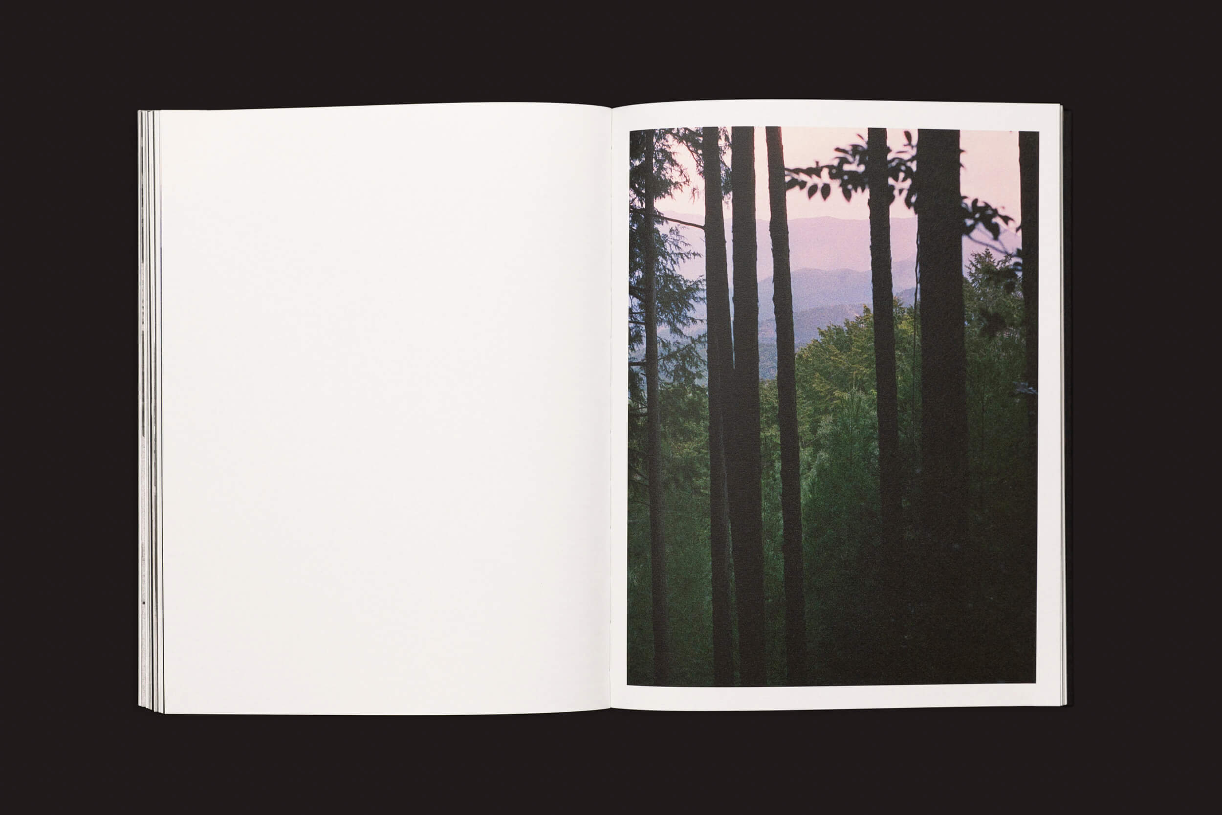 O livro aberto Layla Motta: Ainda há um longo caminho até minha casa de Selo Turvo, sobre um fundo preto, revela uma floresta que lembra o Japão com árvores altas e folhagem verde. Um céu rosa claro sugere o nascer ou o pôr do sol, enquanto a página esquerda em branco acrescenta contraste a essa fotografia de linguagem visual.