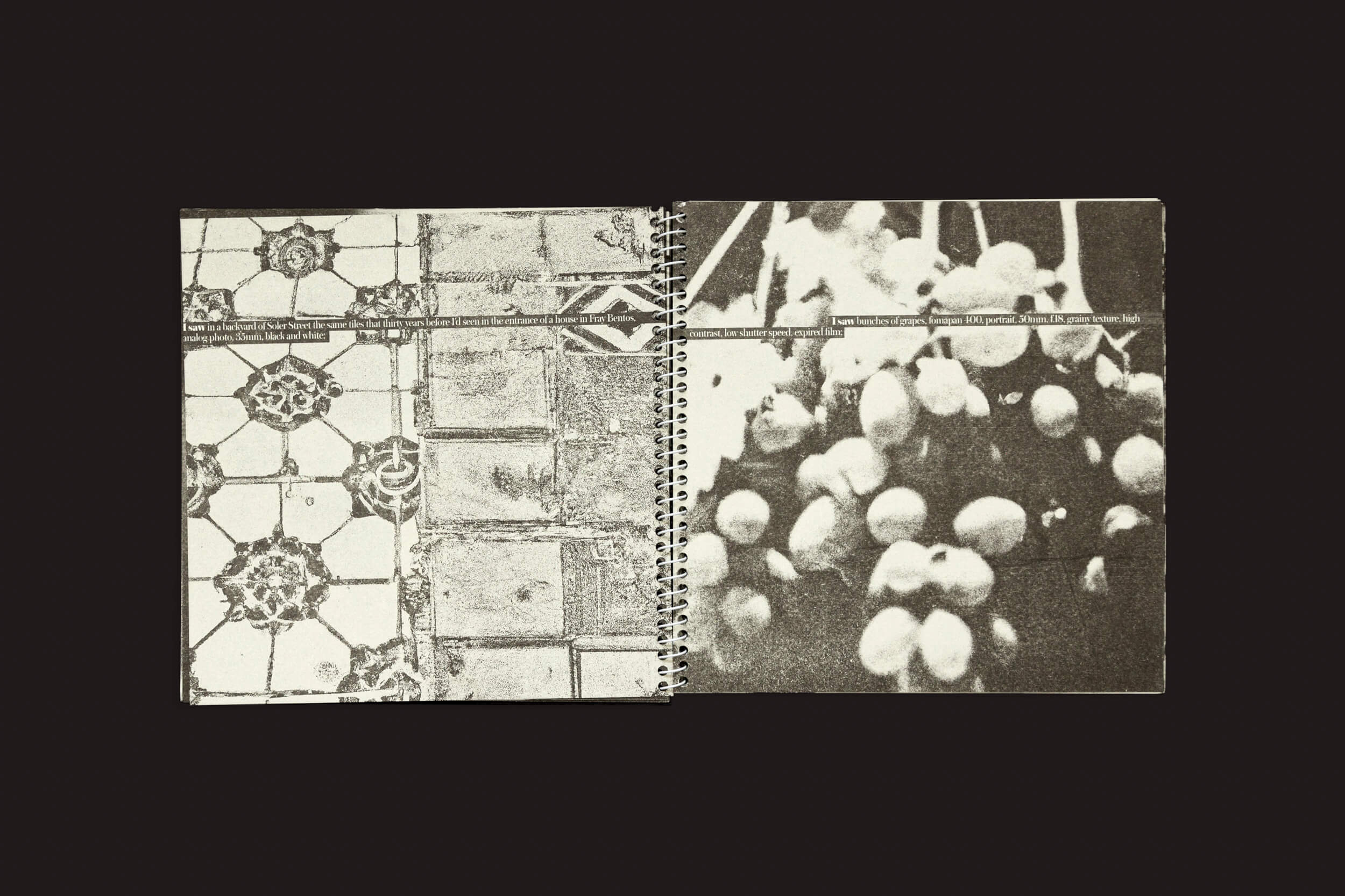 O caderno espiral aberto de Juan Manuel Lara: Aleph-2 da SED Editorial mostra uma imagem em tons de cinza. A página da esquerda, inspirada em Aleph Moderno, tem um padrão de azulejos geométricos, e a da direita apresenta uvas em close-up, tudo em um fundo escuro como se tivesse sido criado por inteligência artificial.