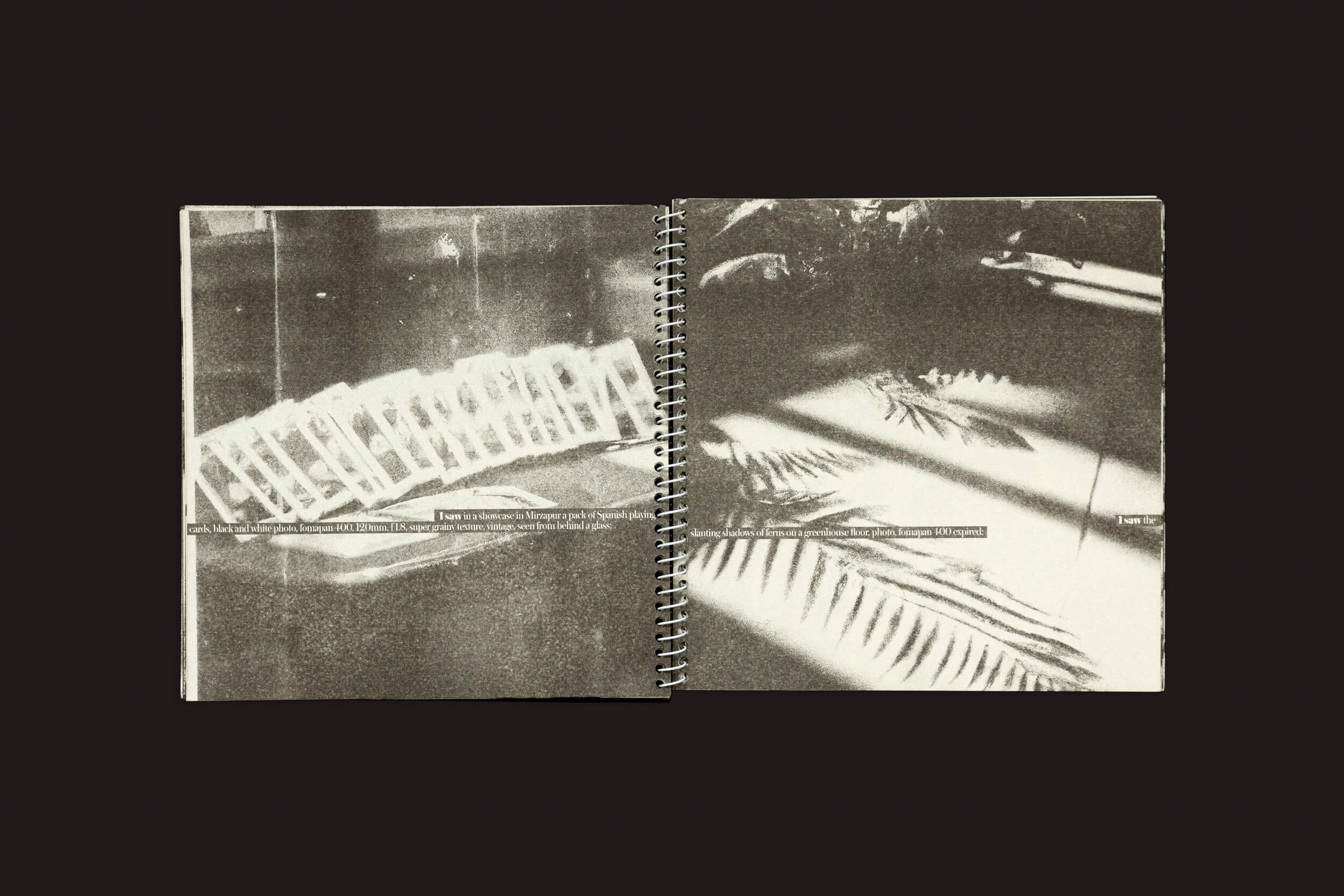 Um caderno espiral monocromático chamado Juan Manuel Lara: Aleph-2 da SED Editorial repousa sobre uma superfície escura. A página da esquerda captura imagensdescritas de dominós caindo, enquanto a da direita exibe a sombra de uma samambaia, com texto tecendo uma narrativa moderna de Aleph na parte inferior.