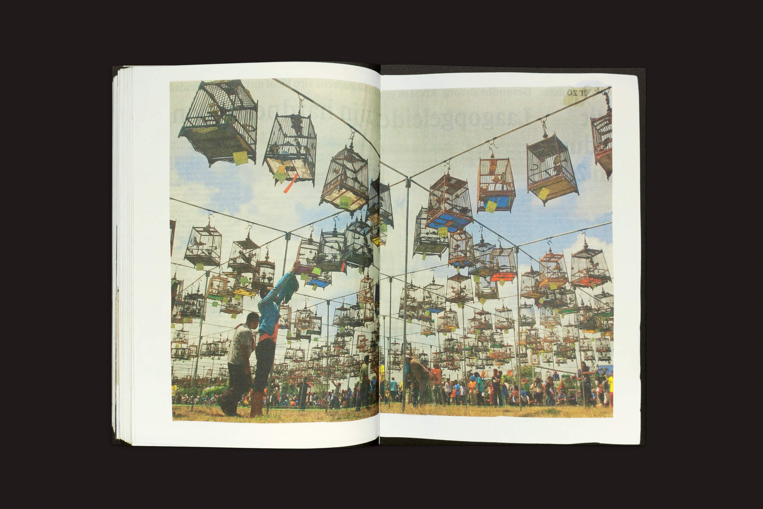 Uma página de Lous Martens: Animal Books for Jaap, Zeno, Anna, Julian & Luca, da Roma Publications, mostra uma animada cena ao ar livre com gaiolas de pássaros penduradas acima de famílias olhando para elas sob um céu claro, lembrando um álbum de recortes.