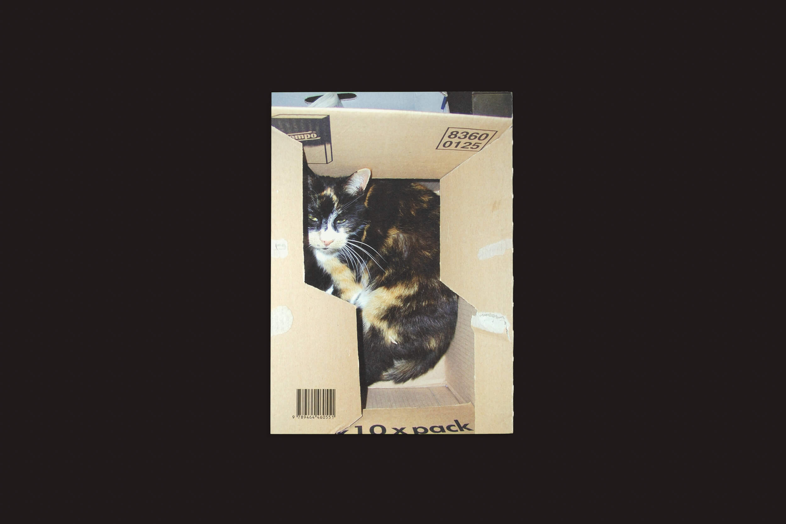 Um gato malhado com pelo preto, laranja e branco está confortavelmente sentado em uma caixa de papelão, evocando uma cena de Lous Martens: Animal Books for Jaap, Zeno, Anna, Julian & Luca da Roma Publications. A caixa aberta revela o olhar relaxado do gato com os olhos semicerrados.