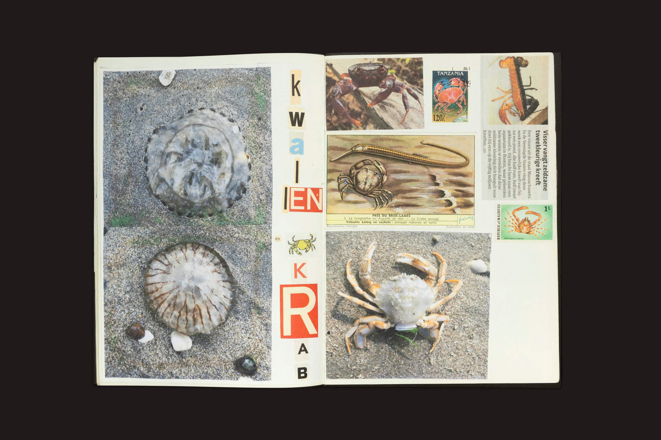 A página de recortes de Animal Books for Jaap, Zeno, Anna, Julian & Luca da Roma Publications apresenta imagens cativantes de caranguejos e criaturas marinhas, com fotos de conchas arredondadas à esquerda e caranguejos, selos, um cartão postal e letras recortadas KWAL EN KRAB à direita.