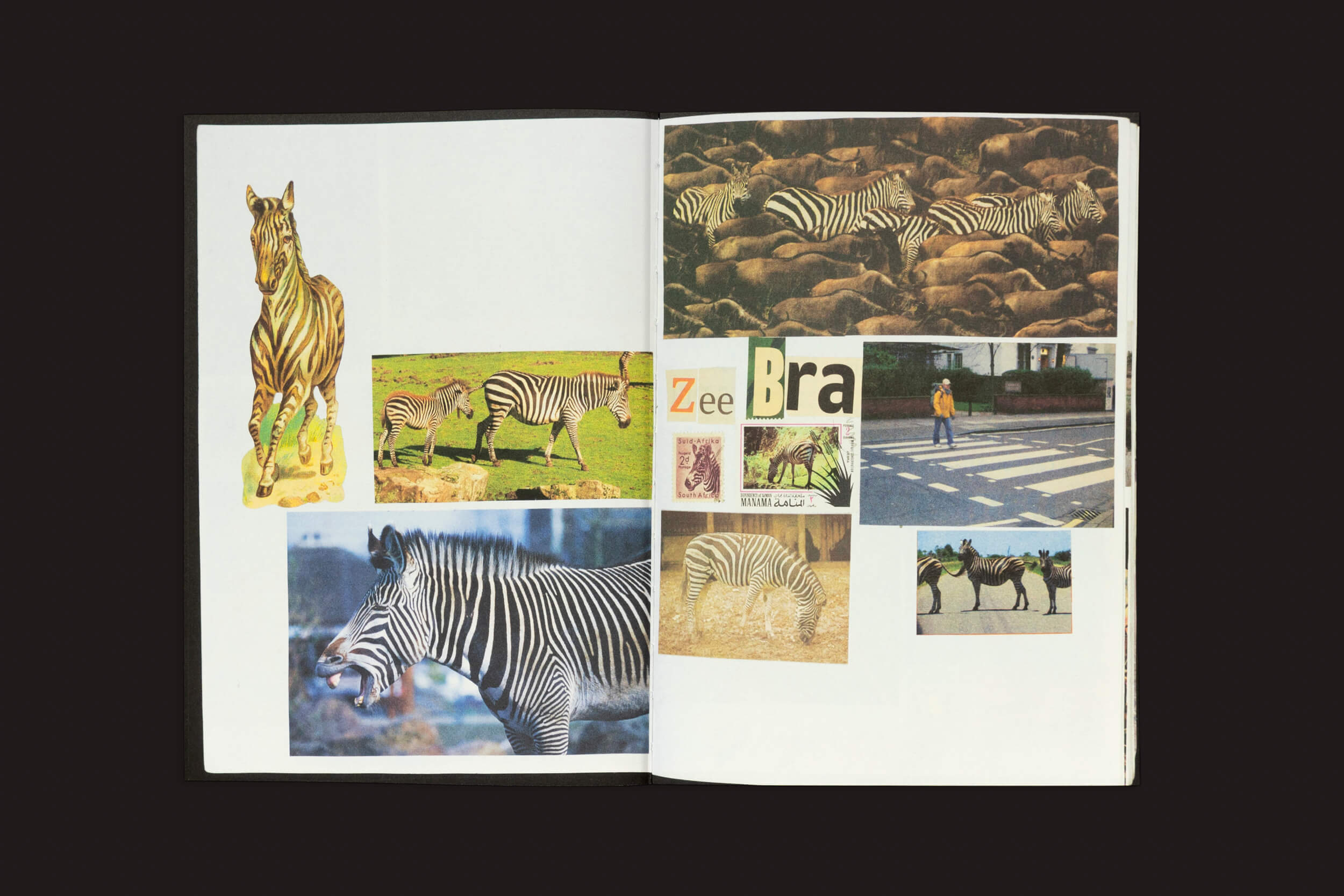 Lous Martens: Animal Books for Jaap, Zeno, Anna, Julian & Luca da Roma Publications apresenta colagens com tema de zebra, incluindo fotos, uma escultura e texto. Os fundos retratam zebras em campos e cruzamentos para uma homenagem criativa à família.