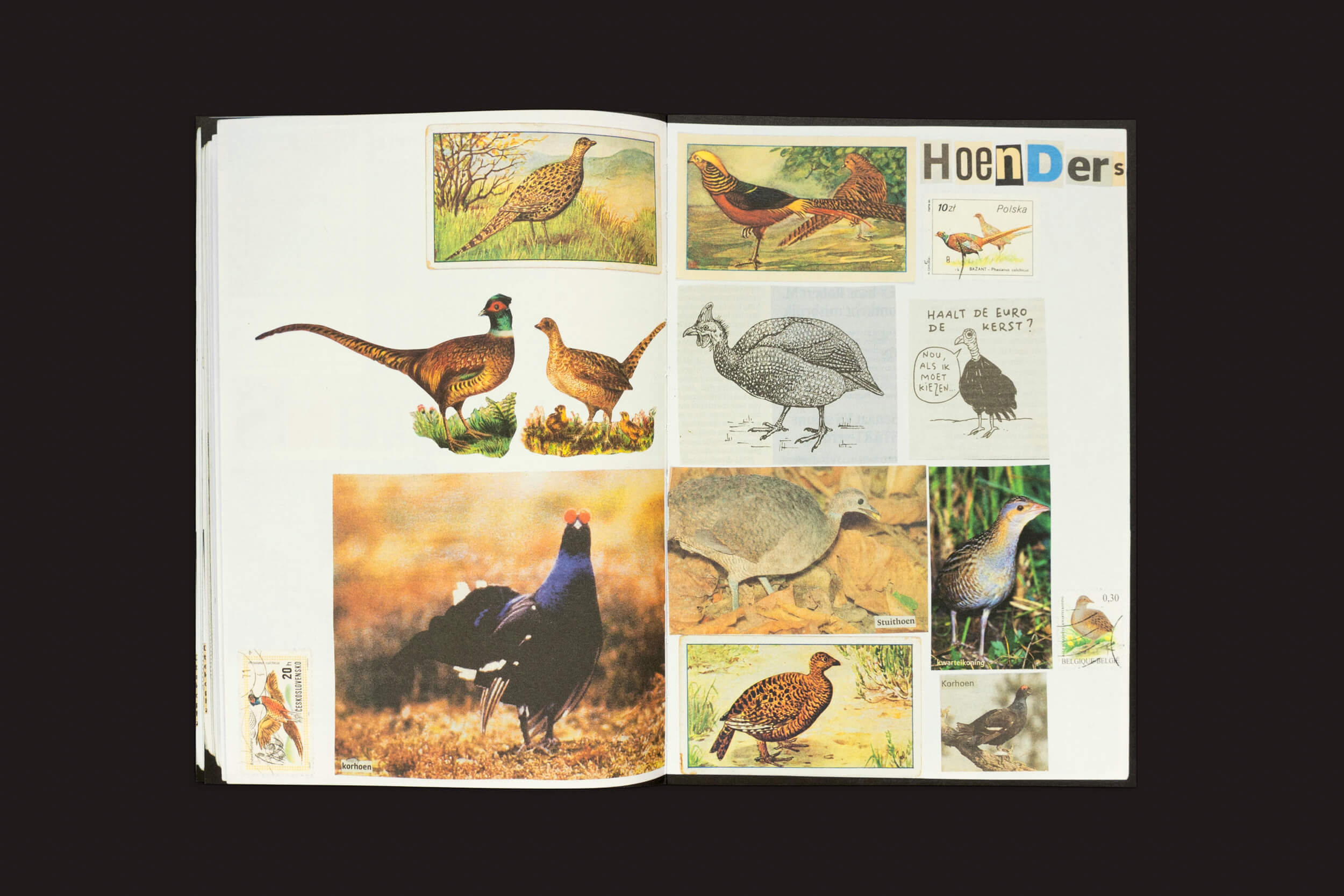 Lous Martens: Animal Books for Jaap, Zeno, Anna, Julian & Luca da Roma Publications apresenta um álbum de recortes em estilo vintage com ilustrações e fotos de pássaros, anotado para apresentar faisões e aves de caça. A coleção mistura arte, literatura e ciência em diversos estilos de mídia.