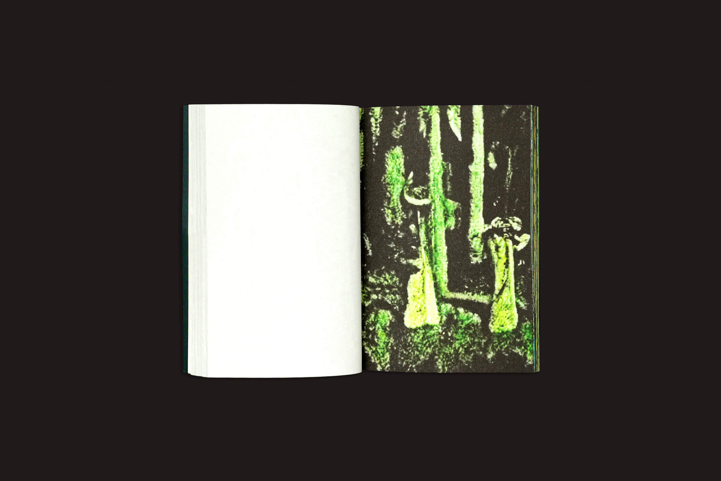 Pierre La Police: Another Green World, da Fidéle Editions, é mostrado aberto sobre um fundo preto. A página da direita apresenta duas figuras abstratas, vestidas de verde, em meio a árvores escuras da floresta; a página da esquerda permanece praticamente em branco.