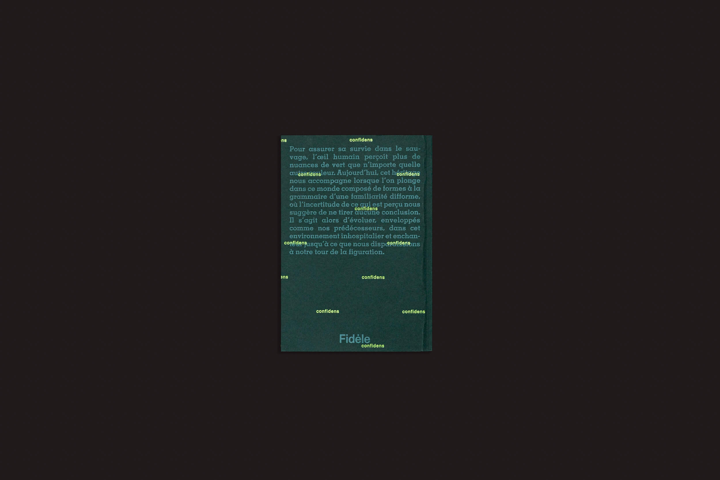 Um livro verde-escuro intitulado "Pierre La Police: Another Green World", da Fidèle Editions, está centralizado sobre um fundo preto. Sua capa, inspirada em gravuras de risografia, apresenta texto amarelo disperso e um bloco de texto em francês branco próximo ao topo.