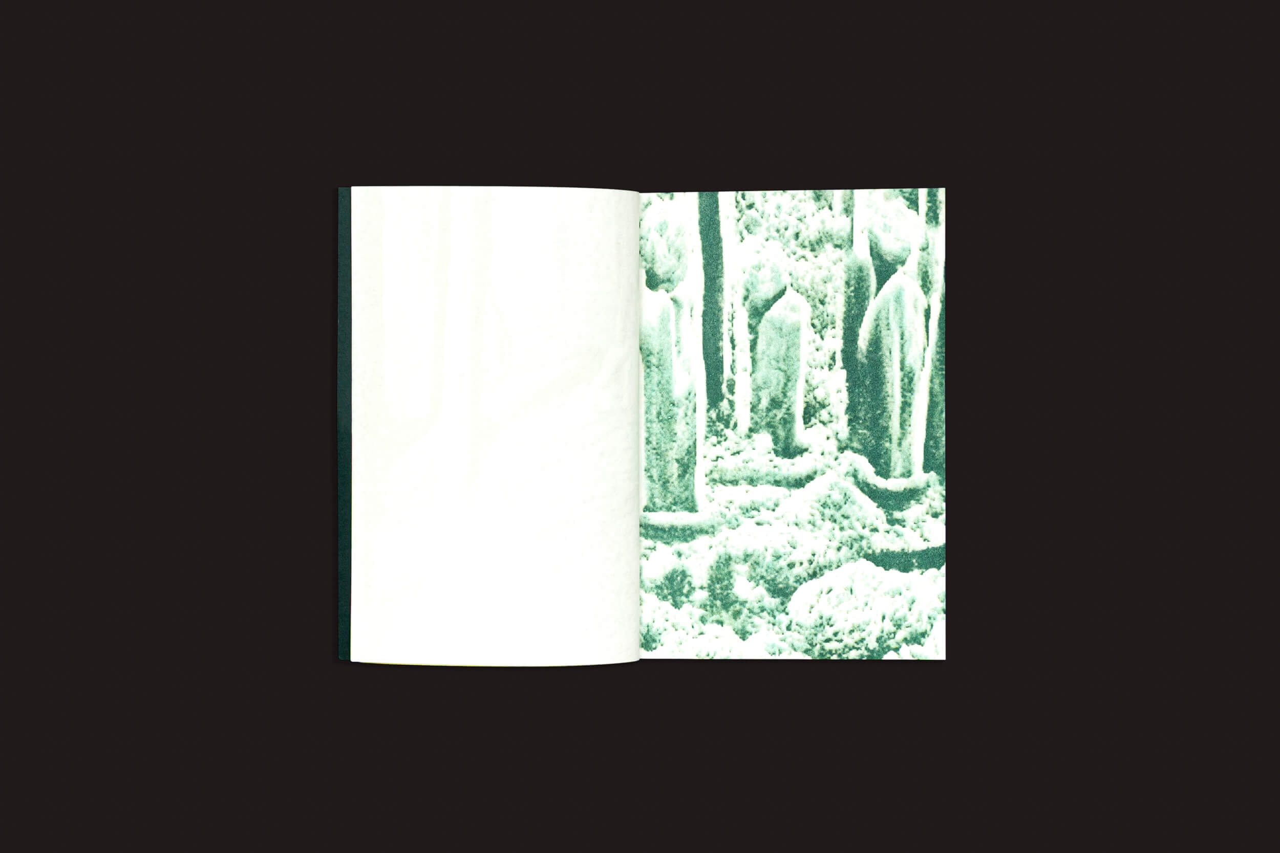 O livro "Pierre La Police: Another Green World", da Fidéle Editions, está aberto contra um fundo preto; a página direita mostra uma imagem risográfica verde de três pedras altas e arredondadas, enquanto a página esquerda permanece praticamente em branco.