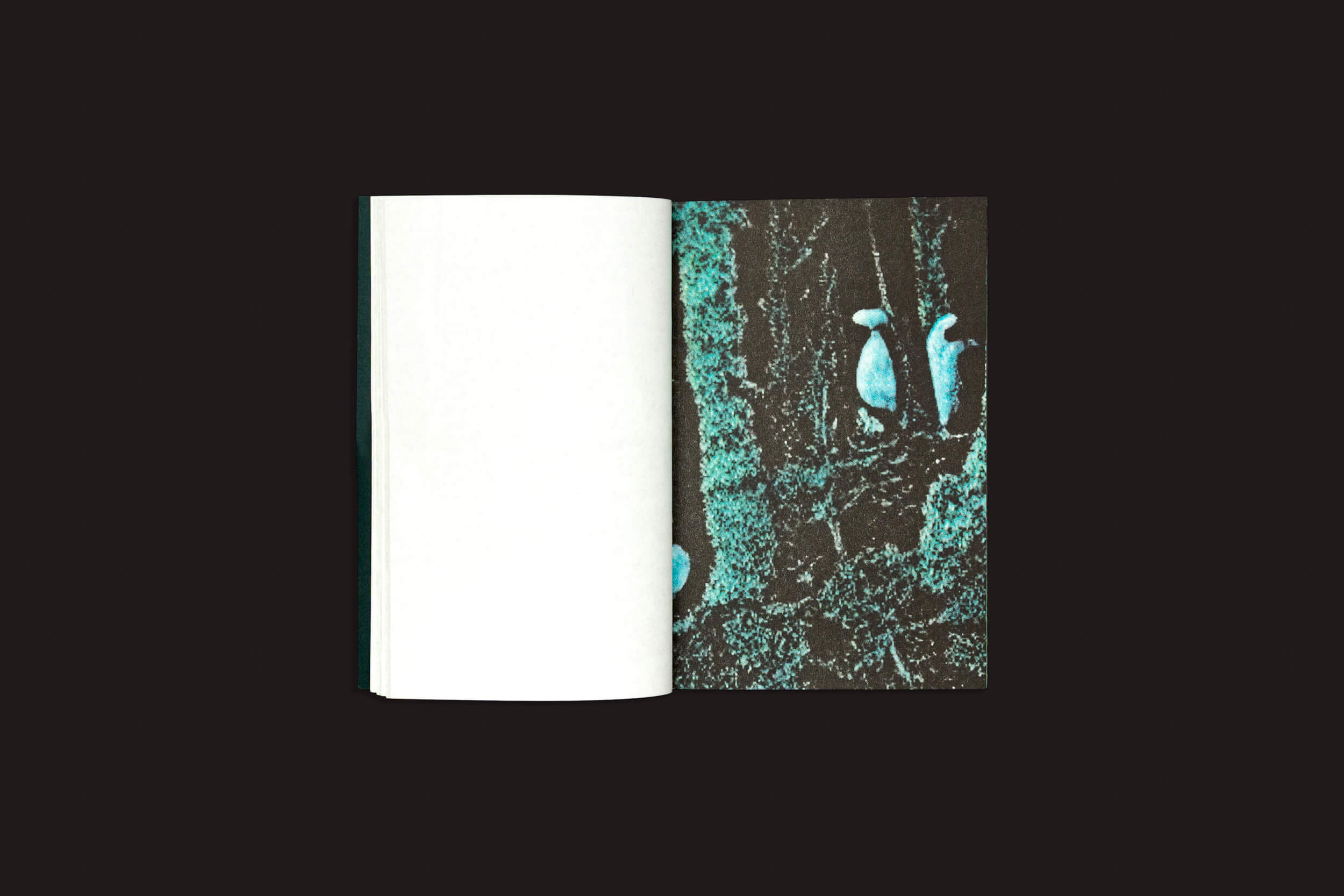 Um livro aberto, Pierre La Police: Another Green World, da Fidéle Editions, repousa sobre uma superfície escura — a página esquerda está quase toda em branco e a direita apresenta formas abstratas azuladas, com textura risográfica, que evocam uma conexão sensorial com cadernos de desenho.