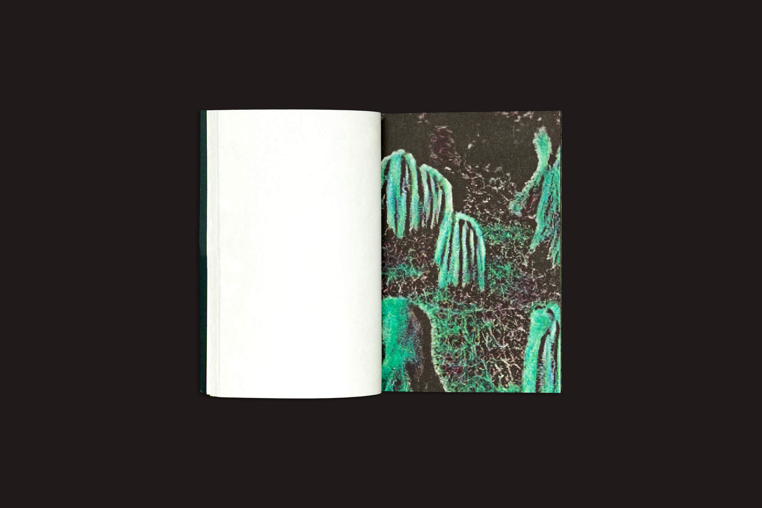 Um exemplar aberto de "Pierre La Police: Another Green World", da Fidéle Editions, repousa sobre um fundo preto, com a página esquerda em branco e a direita exibindo uma imagem abstrata em verde e preto, evocando a conexão sensorial de livros de desenho ou risografia.