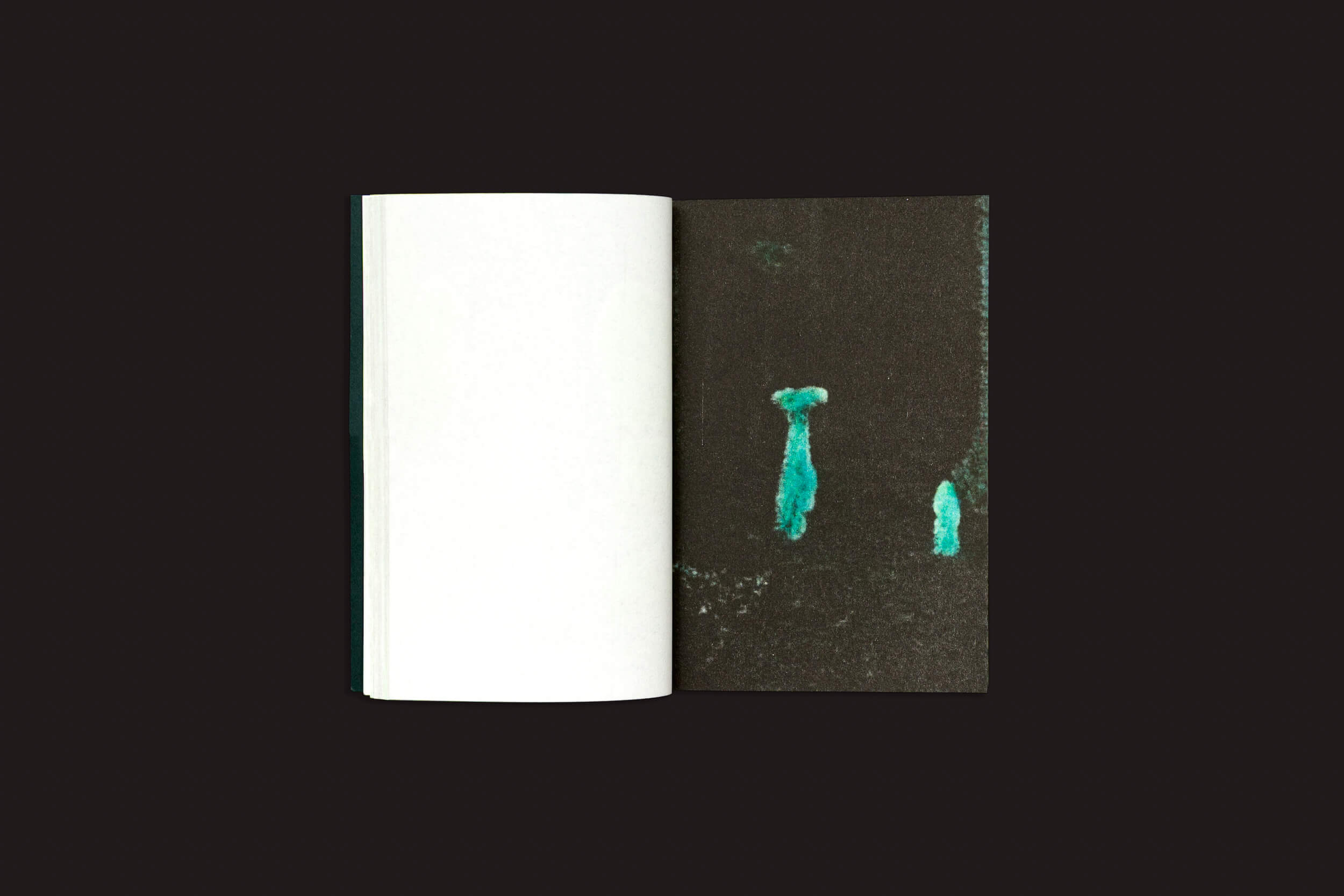 O livro "Pierre La Police: Another Green World", da Fidéle Editions, é mostrado aberto sobre um fundo escuro, com uma página esquerda em branco e a página direita exibindo duas pinceladas abstratas de turquesa sobre uma superfície preta texturizada.