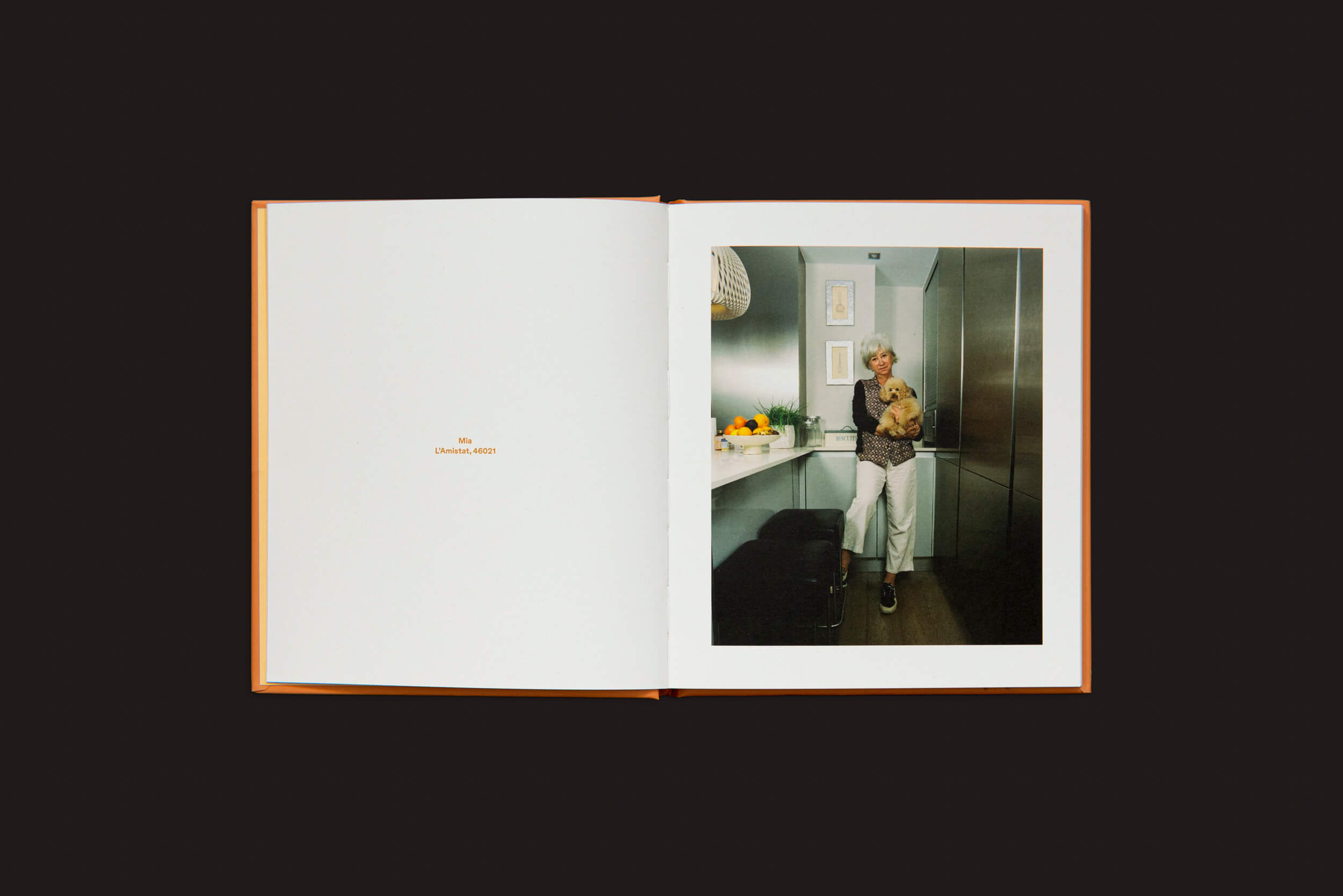 Um livro aberto revela uma fotografia na página direita: alguém em uma cozinha segurando um gato laranja que lembra o Laura Leal: Apricot Poodle da Handshake, cercado por frutas no balcão e um vaso. A página esquerda diz The Crack-Up, acrescentando intriga.