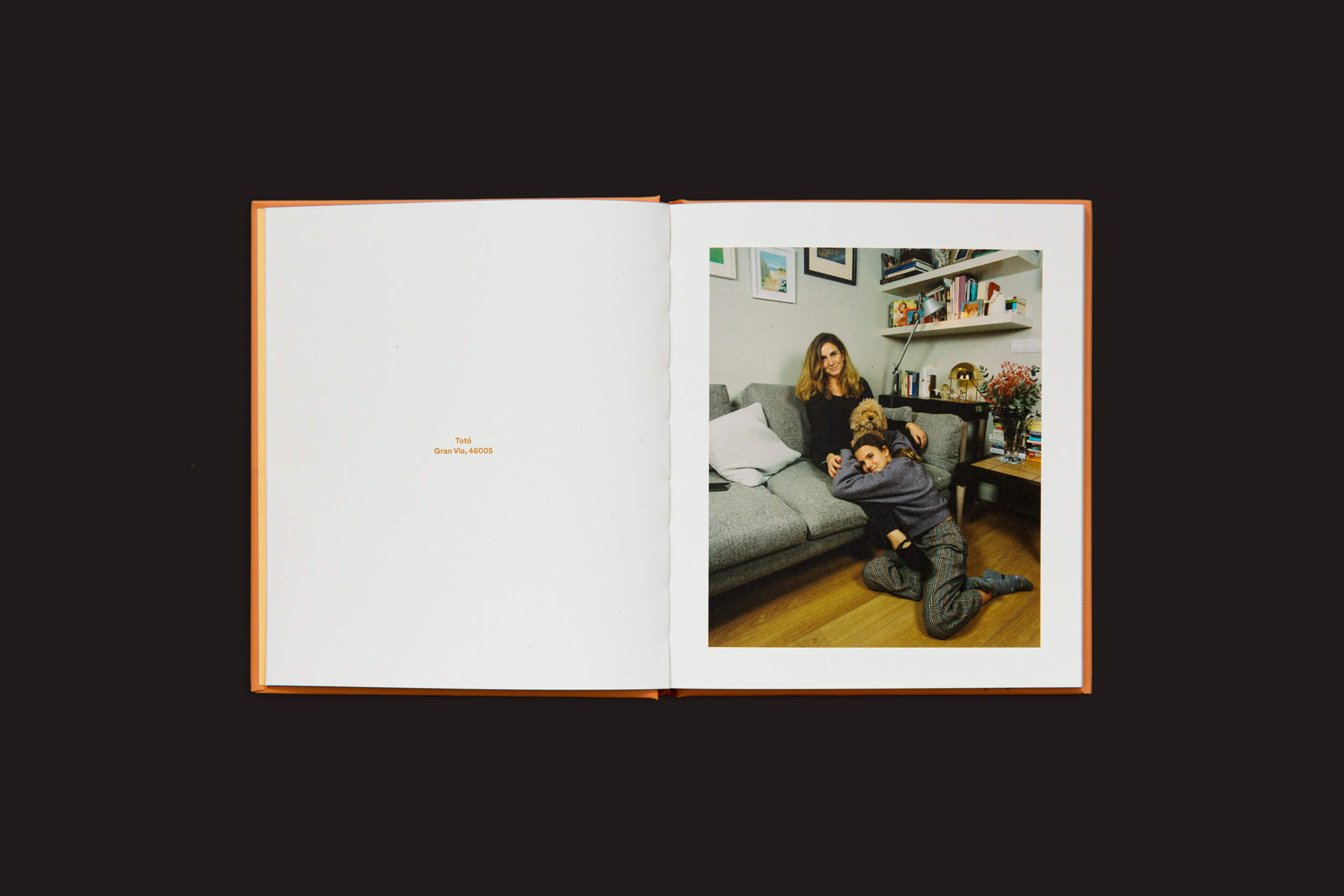 Um livro aberto revela a página esquerda com texto e a direita exibindo uma cena aconchegante: alguém descansa em um sofá cinza com Laura Leal: Apricot Poodle, do Handshake, enquanto outro se ajoelha ao lado deles. Livros e prateleiras cheias de decoração realçam o ambiente charmoso.