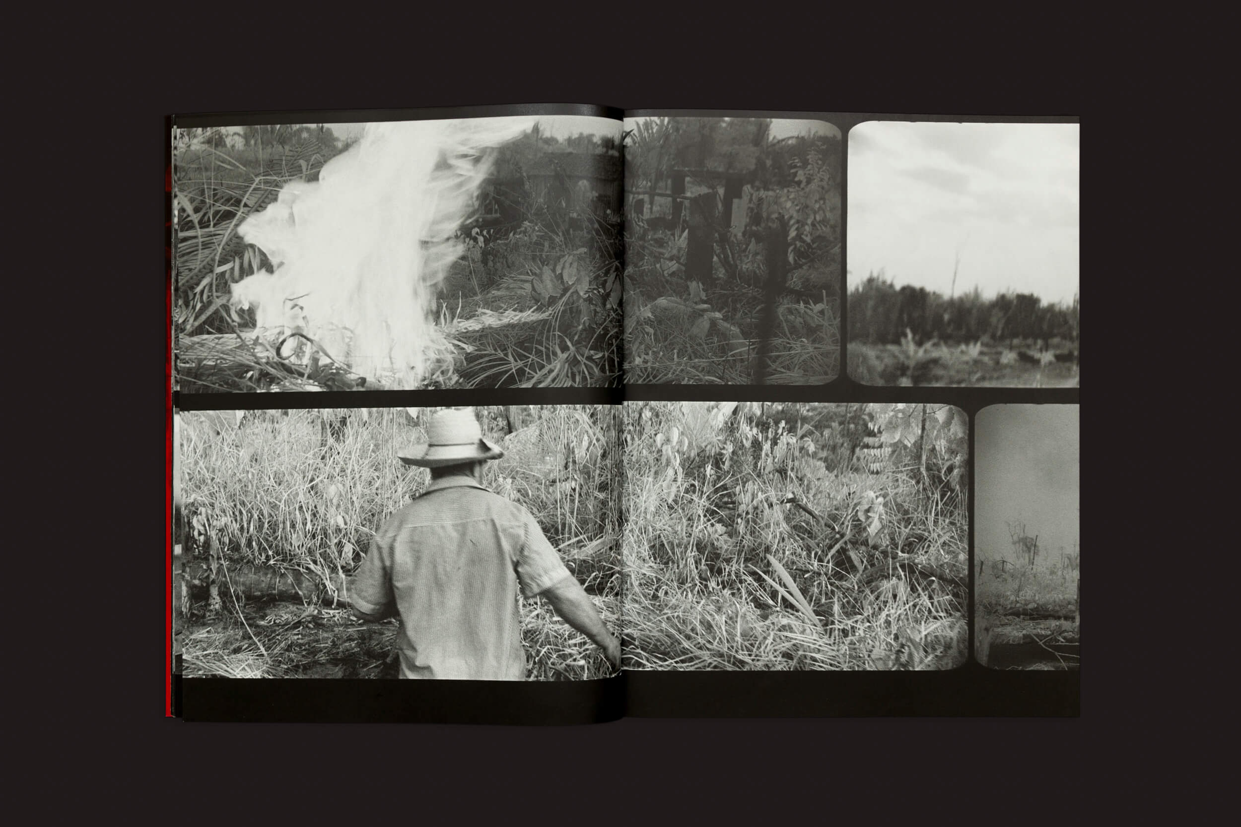 Em Richard Mosse: Broken Spectre, da Loose Joints, um livro com fotos em preto e branco retrata uma pessoa de chapéu vista de trás, campos de grama alta e uma fogueira com fumaça, refletindo sobre crimes ambientais contra o delicado equilíbrio da natureza.