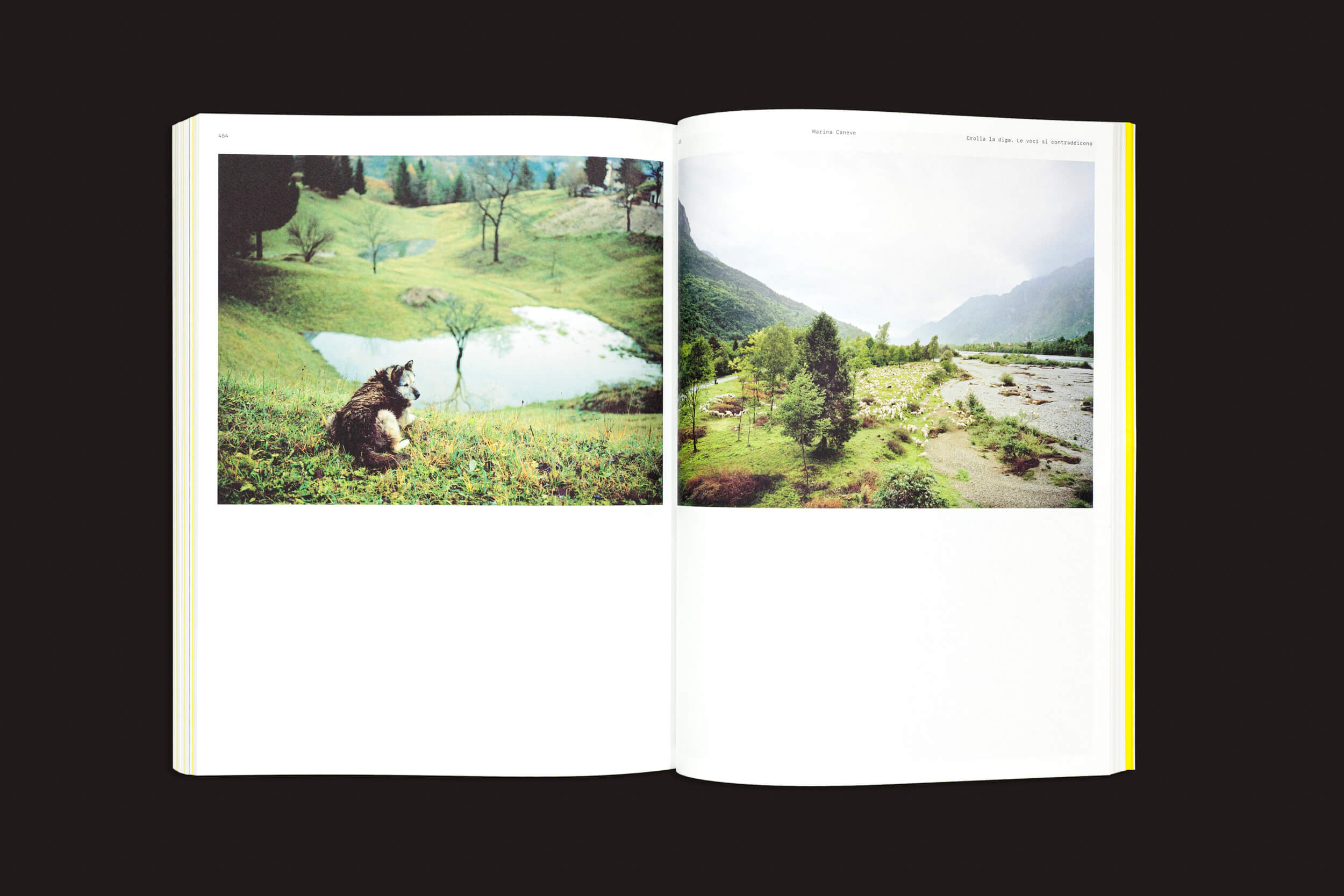 Um livro aberto, CALAMITA/À – Uma investigação sobre a catástrofe de Vajont: v/a, da Fw:Books, mostra um cão perto de um lago na página esquerda e, como parte de um projeto de pesquisa artística, um rio em meio a montanhas verdes com sinais de um deslizamento de terra à direita.