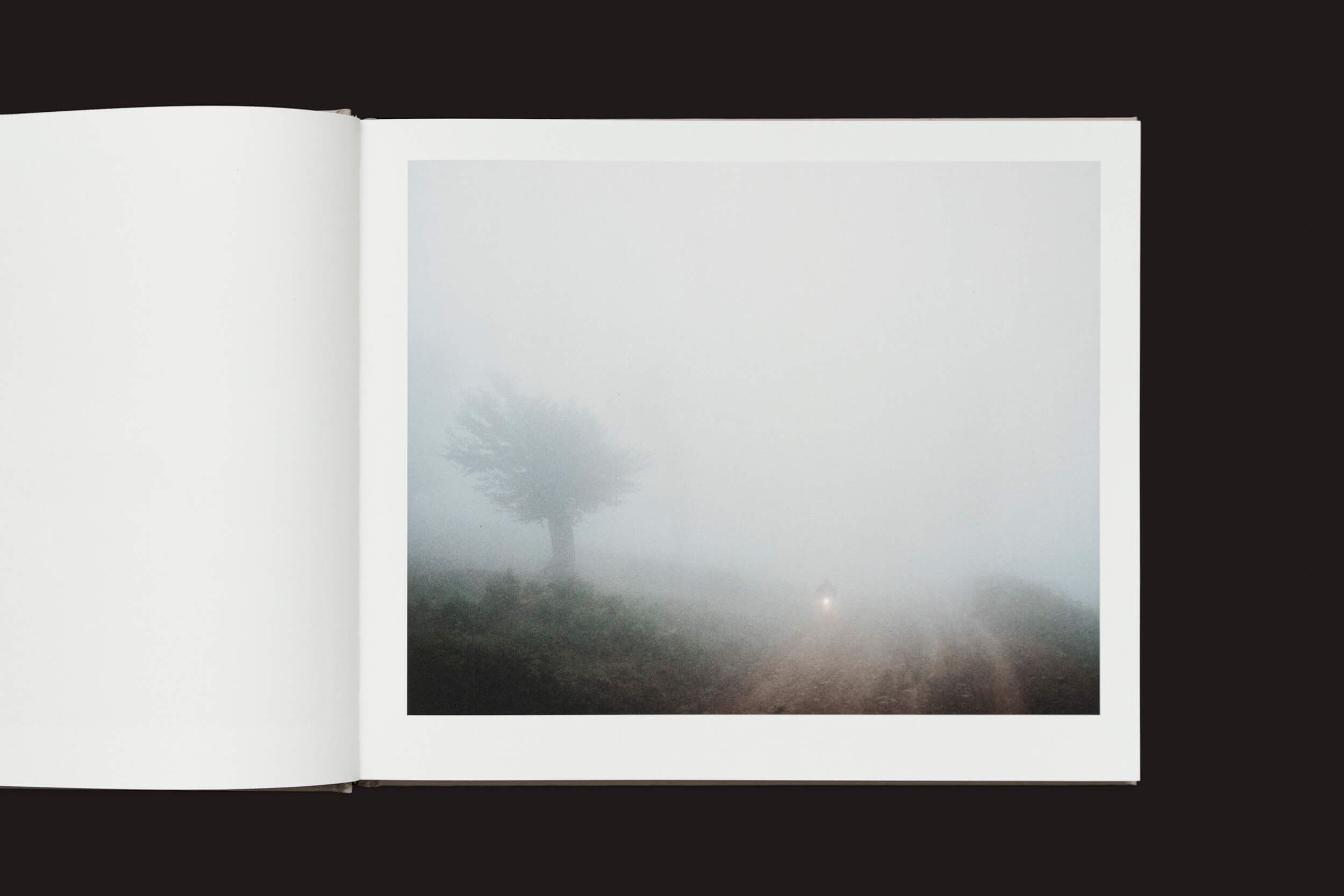 O livro Caspian: A Southern Reflection de Khashayar Javanmardi da Loose Joints mostra uma paisagem enevoada, indicando mudança climática. Uma árvore solitária está à esquerda, e a luz fraca de uma bicicleta ou lanterna emerge à distância em um caminho para a direita.