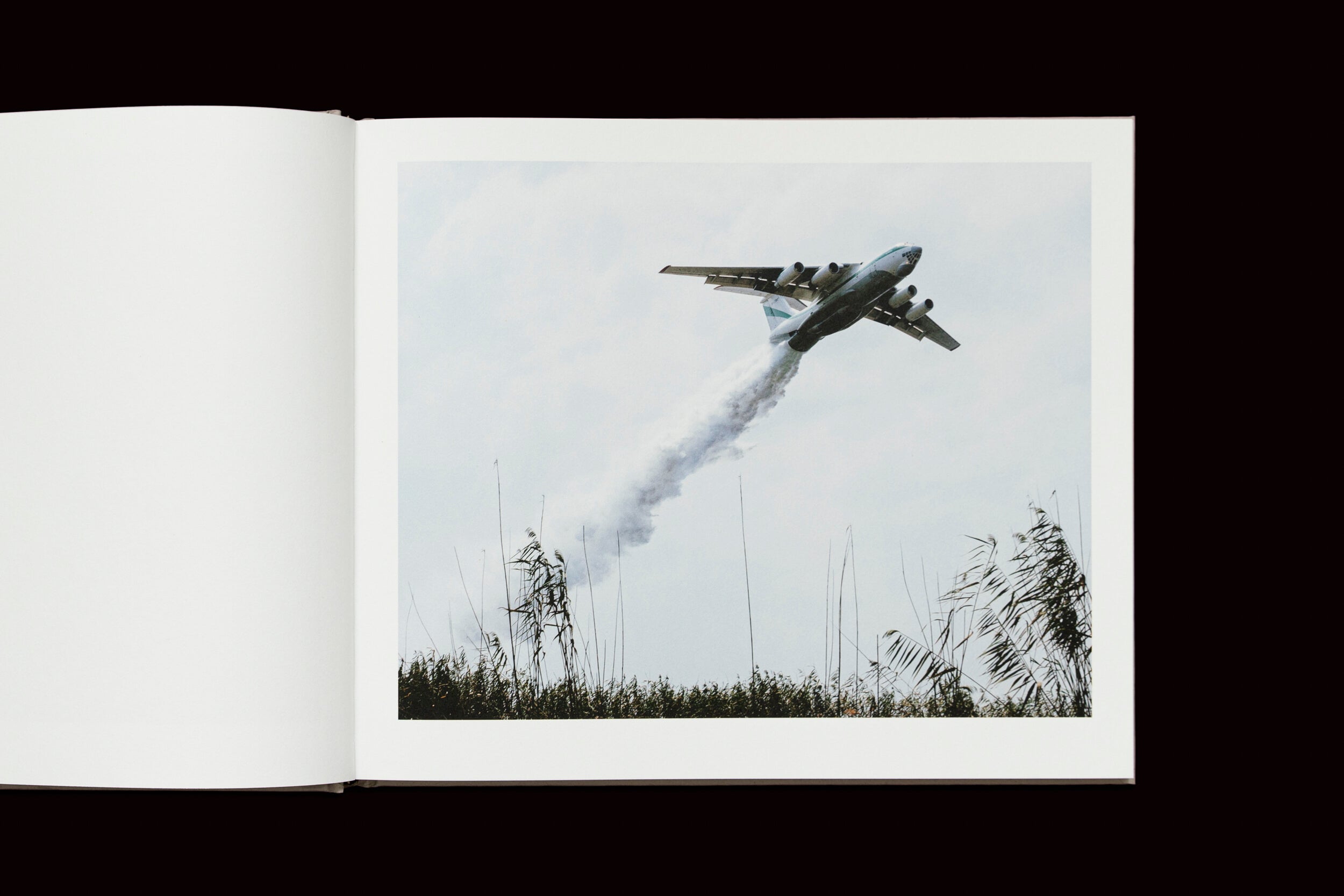 Uma foto em Khashayar Javanmardi: Caspian: A Southern Reflection de Loose Joints mostra uma aeronave lançando água sobre a natureza para combater a polícia ambiental, voando contra um céu nublado com gramíneas altas em primeiro plano.