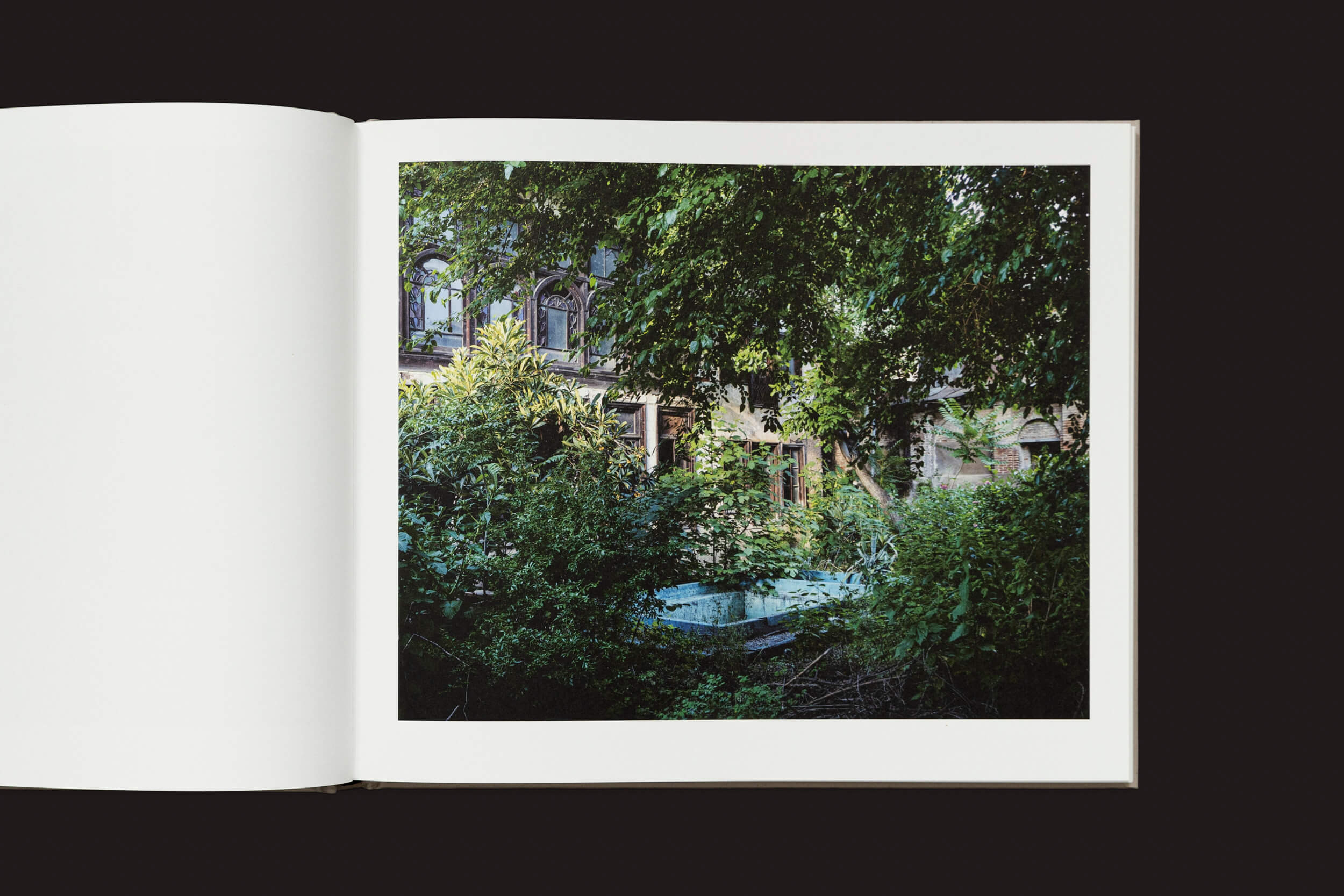 O livro aberto, Khashayar Javanmardi: Caspian: A Southern Reflection de Loose Joints, exibe um jardim exuberante e um prédio antigo parcialmente escondido. A vegetação densa contra o céu claro oferece uma fuga serena das preocupações com a polícia ambiental e as mudanças climáticas.