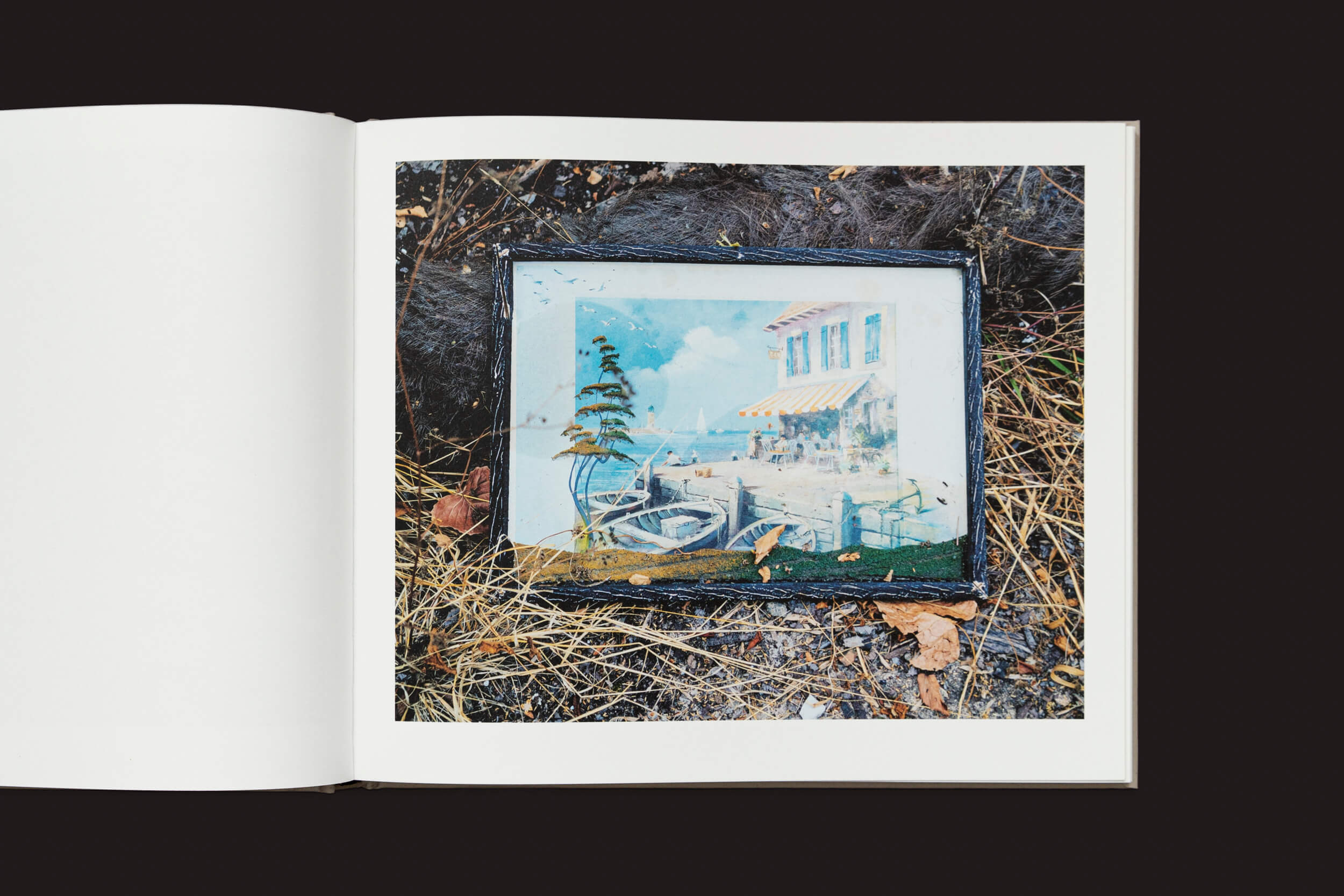 Um livro aberto, Khashayar Javanmardi: Caspian: A Southern Reflection de Loose Joints, revela uma pintura de um cenário litorâneo com barcos, uma árvore e um prédio com um toldo listrado. Apoiado sobre grama seca e folhas, ele sutilmente sugere impactos da mudança climática em paisagens naturais.