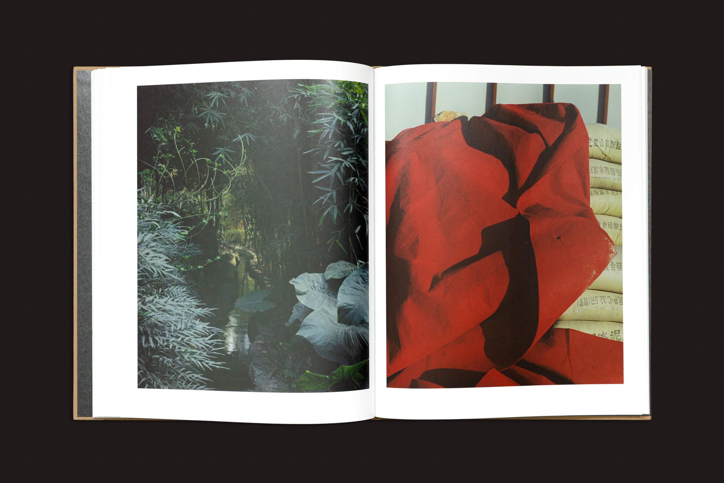 Um livro aberto apresenta duas páginas visíveis. A da esquerda revela uma vegetação exuberante com um caminho escondido, simbolizando Teresa Eng: Sonho Chinês; a da direita exibe uma forma vermelha abstrata que lembra tecido sobre almofadas brancas, refletindo uma identidade fragmentada. Publicado por Skinnerboox.