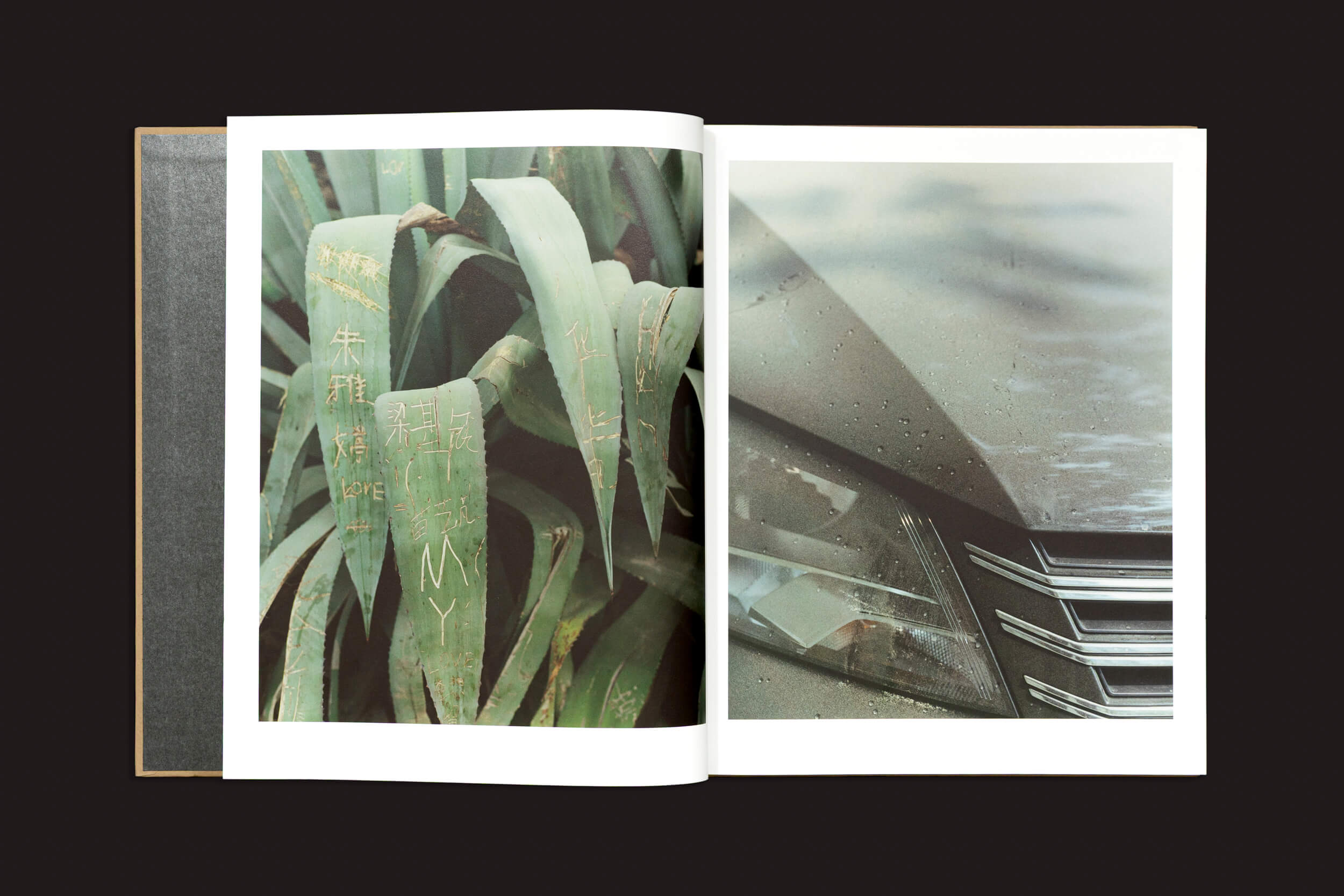 O livro aberto exibe duas páginas: a da esquerda mostra uma planta com mensagens esculpidas simbolizando identidade fragmentada, enquanto a da direita apresenta um close de um farol de carro salpicado de gotas de chuva, ecoando temas de "Teresa Eng: China Dream", de Skinnerboox.