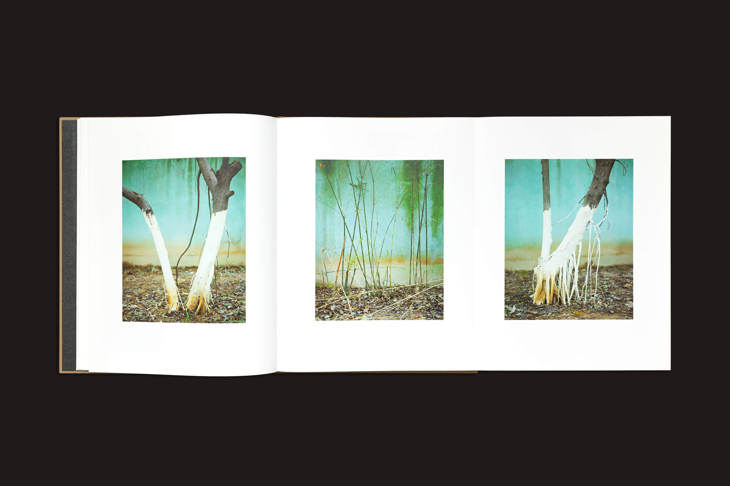 O livro "Teresa Eng: China Dream", de Skinnerboox, apresenta três fotos de troncos de árvores com padrões de raízes únicos contra um fundo azul-esverdeado, capturando texturas naturais que ecoam os temas de Teresa Eng sobre identidade fragmentada, em um fundo escuro.