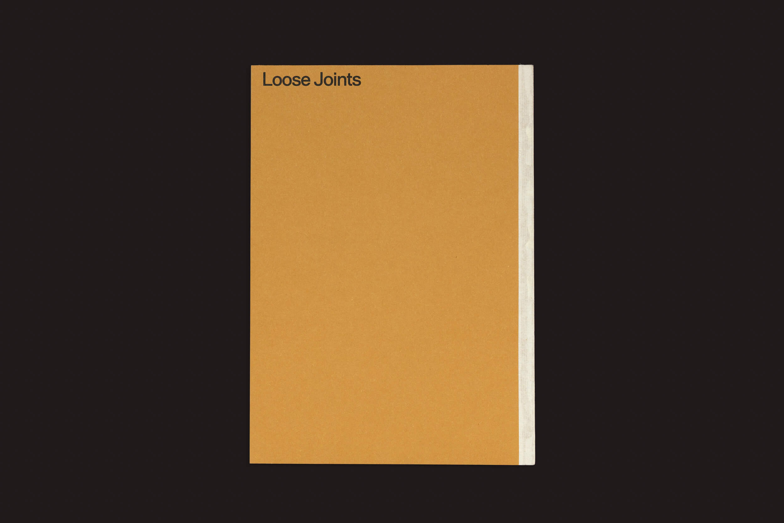 O livro de capa dura Felipe Romero Beltrán: Dialect, da Loose Joints, com capa marrom e uma faixa vertical branca no lado direito sobre um fundo preto, explora o status legal dos imigrantes marroquinos em meio à violência estatal.