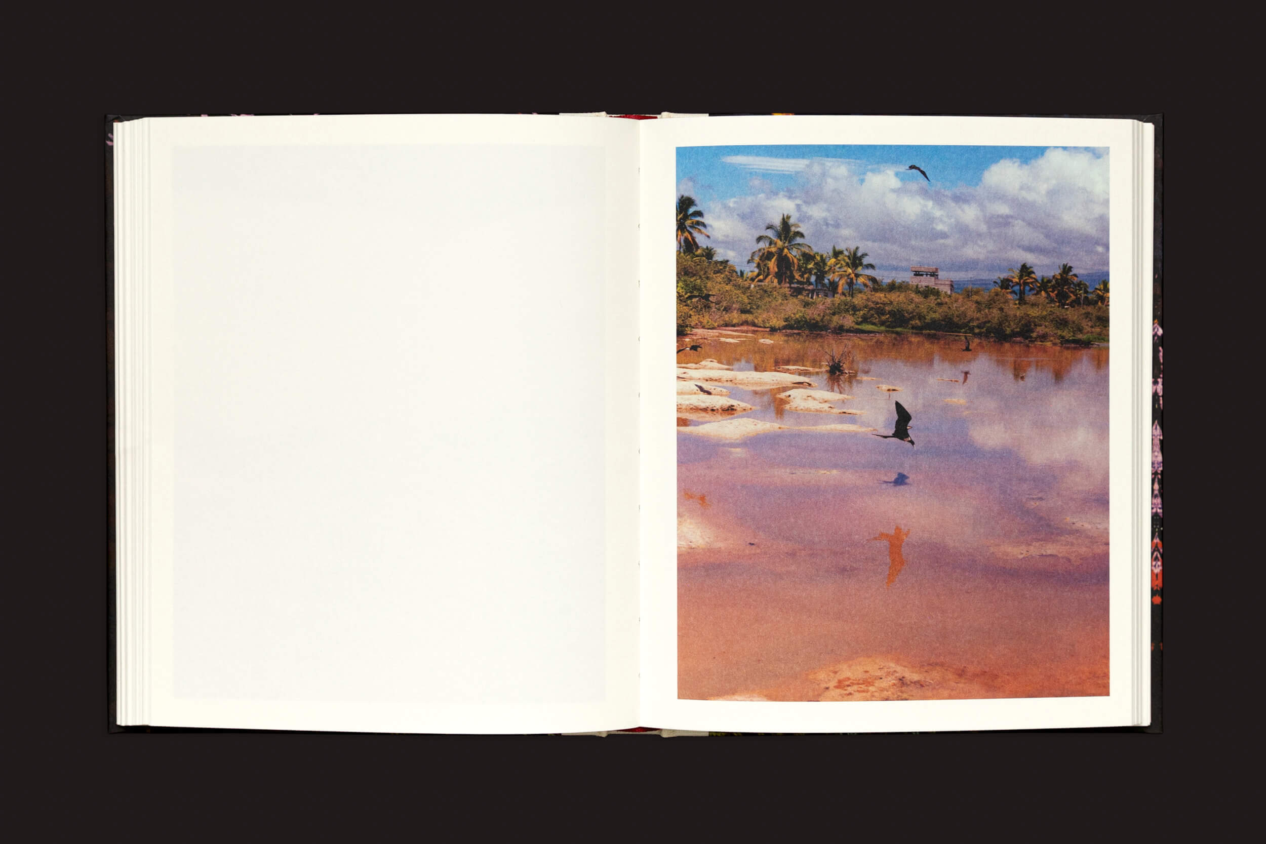 Abra Pia Riverola: Días de Loose Joints, com uma página esquerda em branco e uma página direita mostrando uma foto vibrante de uma paisagem tropical — árvores, água, pássaros e nuvens refletindo na superfície. Uma verdadeira experiência sensorial com imagens evocativas.