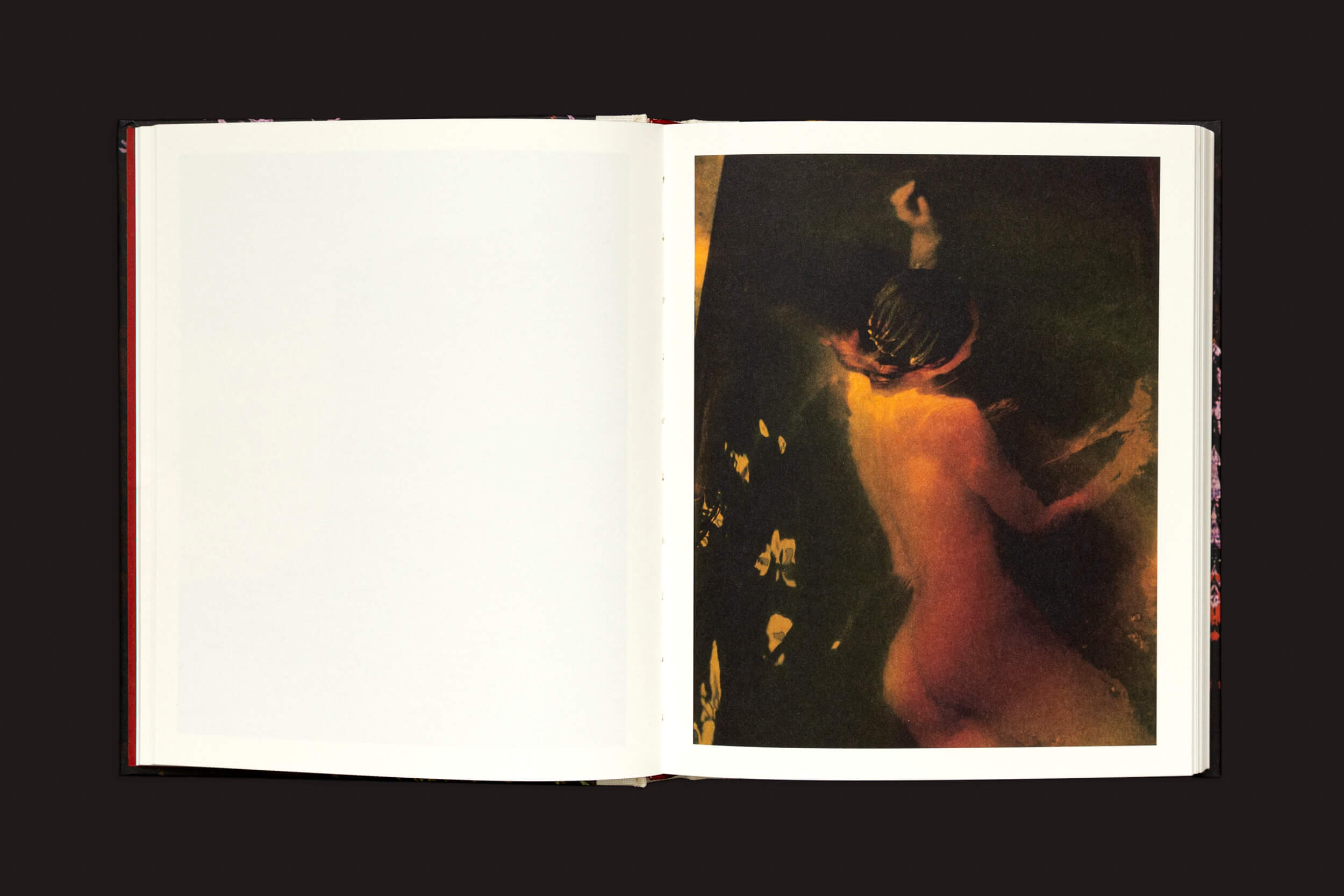 O livro aberto, Pia Riverola: Días by Loose Joints, oferece uma experiência evocativa. A página da esquerda está em branco, enquanto a da direita exibe uma pintura onírica de uma pessoa submersa na água. Cores quentes sussurram reflexões e encorajam a exploração sensorial contra um fundo escuro.