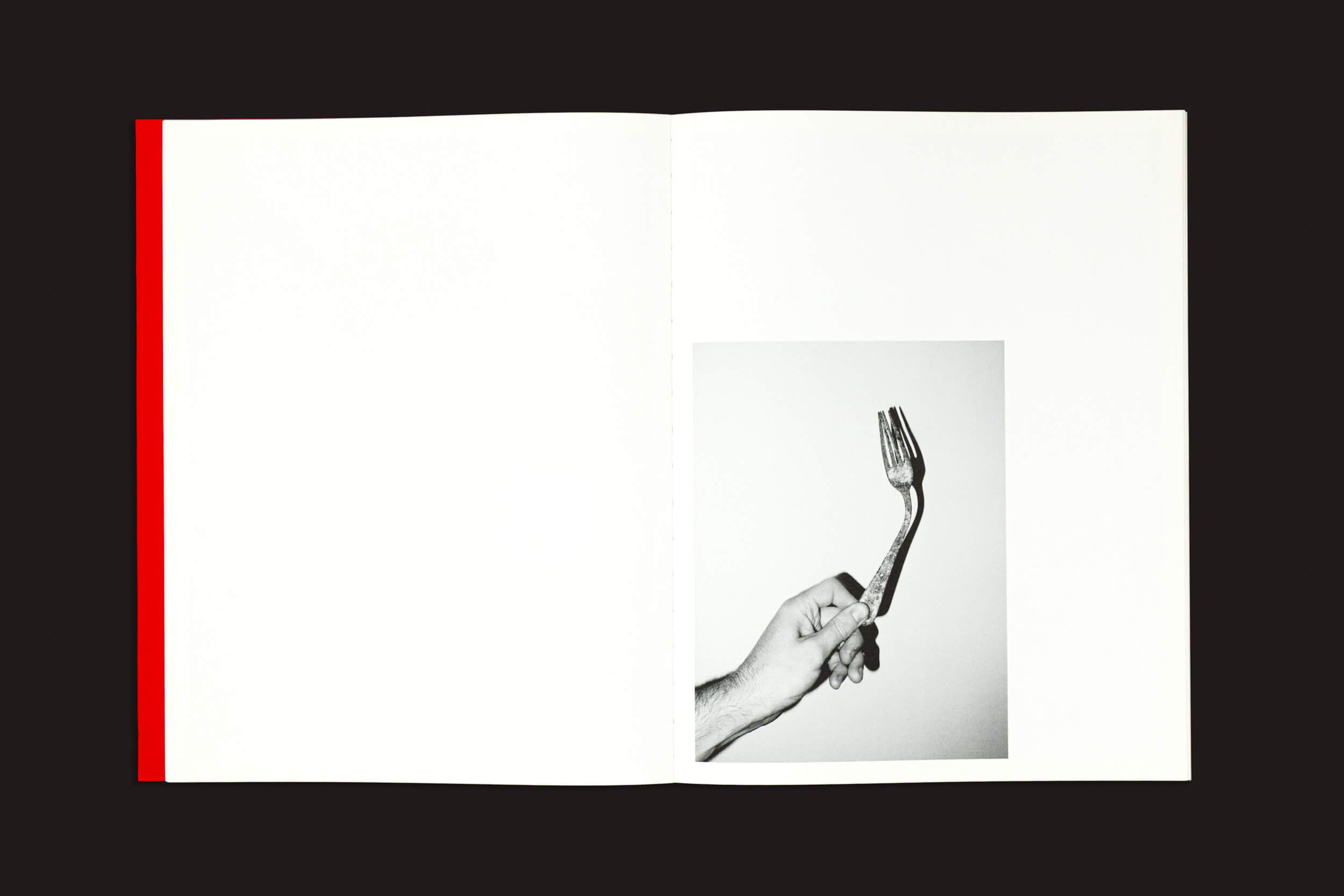 O livro aberto "Dream Moons", de Yurian Quintanas Nobel, apresenta lombada vermelha, com a página esquerda em branco e uma impressionante foto em preto e branco à direita: uma mão segurando um garfo torto contra um fundo simples, oferecendo um vislumbre intrigante da casa do artista. Marca: Void.