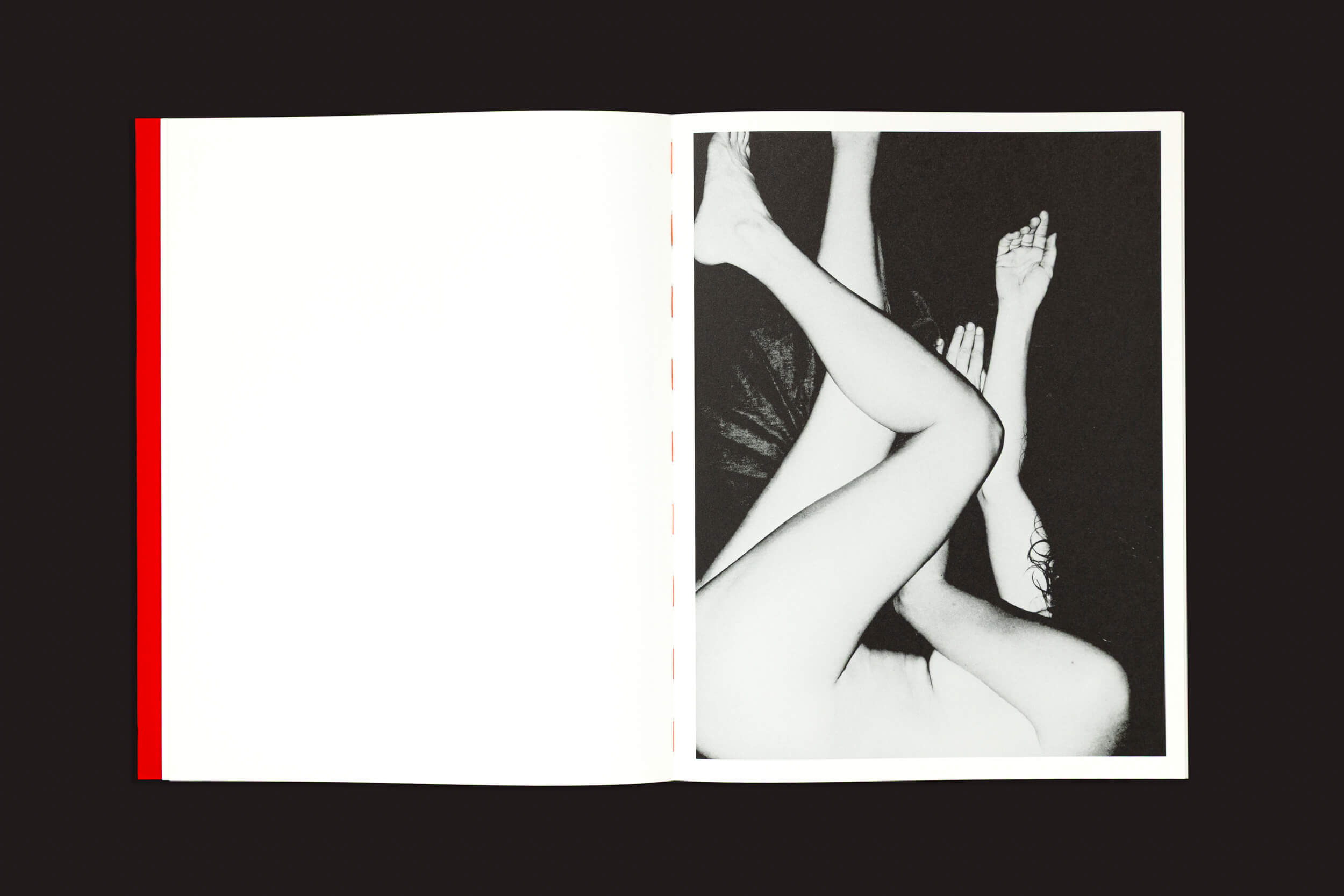 No livro "Yurian Quintanas Nobel: Dream Moons", da Void, uma página aberta exibe um lado esquerdo em branco e uma foto em preto e branco à direita. A imagem abstrata, com braços e pernas entrelaçados sobre um fundo escuro, evoca um sonho bizarro.