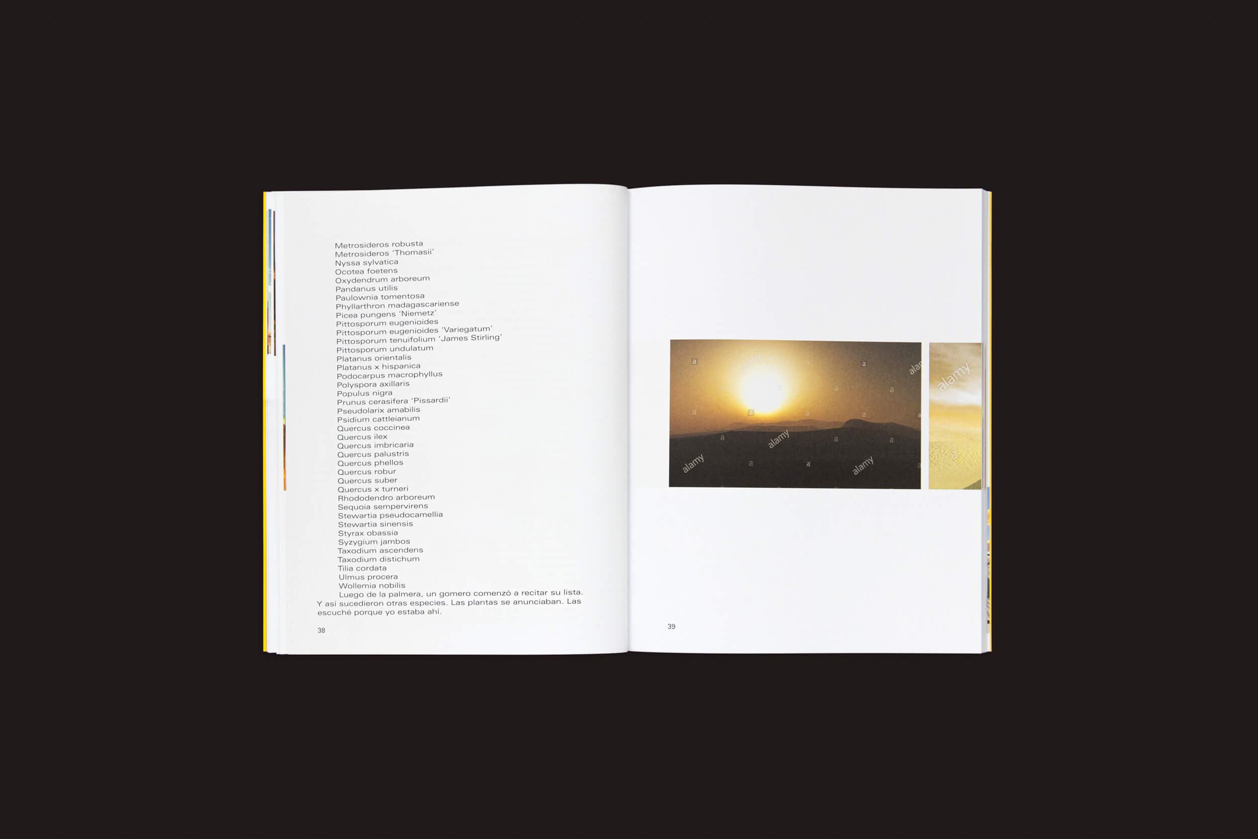 Um livro aberto intitulado El mundo es un tubo de Martín Bollati da SED Editorial repousa sobre um fundo preto. A página da esquerda lista palavras e frases; a da direita apresenta imagens do sol sobre o Oceano Atlântico, lançando luz contra a escuridão. Abaixo, o texto explora gêneros híbridos na narrativa.