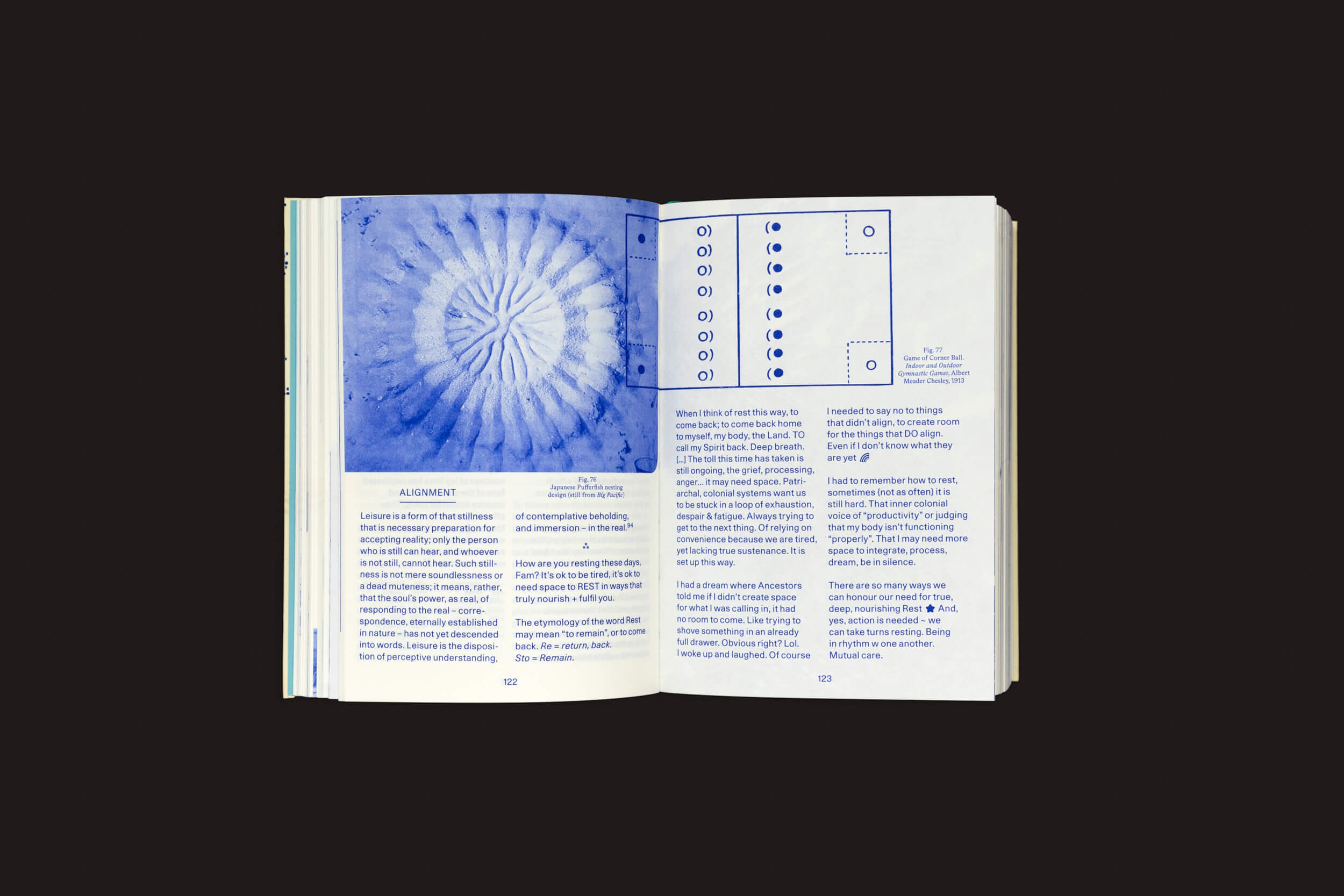 Um livro aberto repousa sobre um fundo preto, exibindo uma ilustração em espiral azul na página esquerda. À direita, o texto se mistura com um diagrama e duas colunas, encapsulando Anna Püschel: Encyclopedia of the Uncertain da exploração do conhecimento em meio à incerteza de The Eriskay Connection.