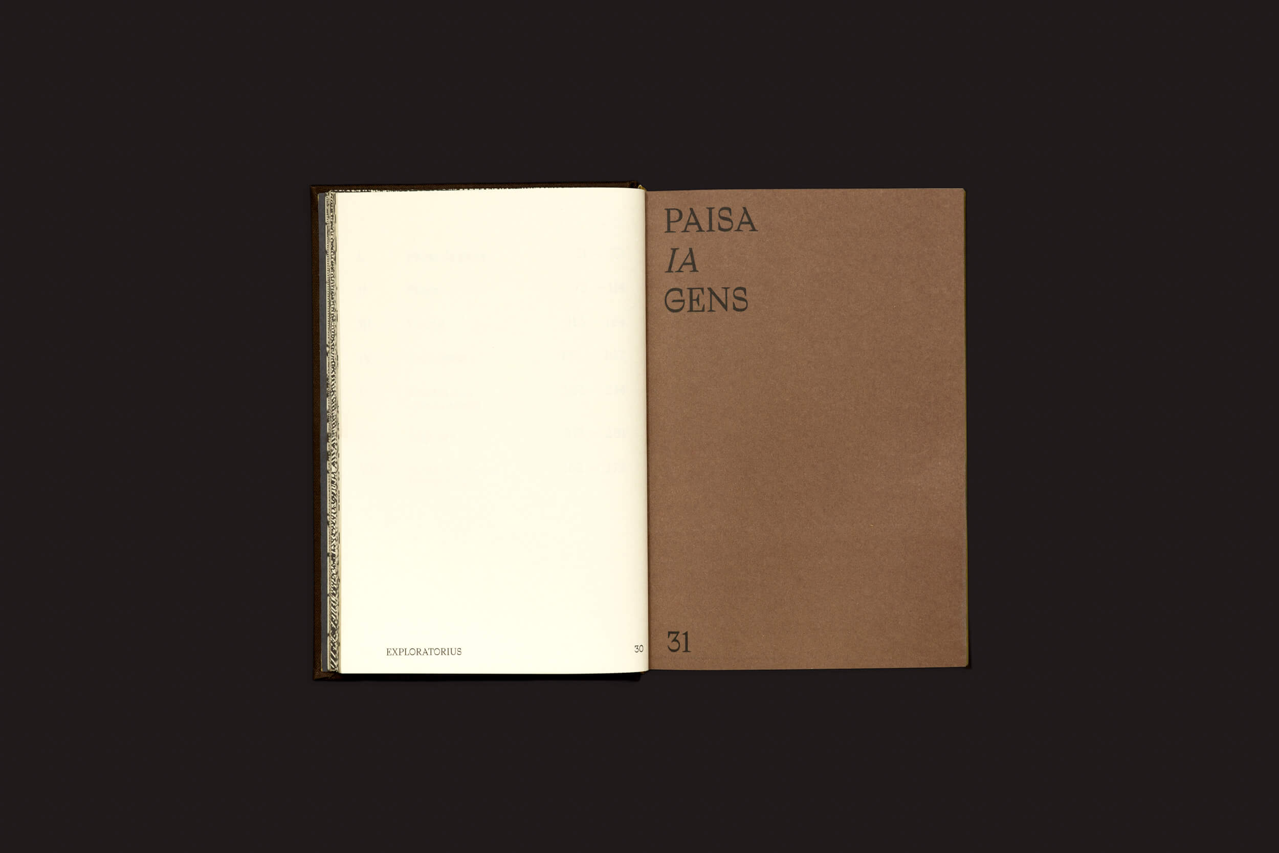 Sobre uma superfície escura está um livro aberto de Selo Turvo, intitulado Elaine Pessoa: Exploratorius. A página da esquerda contrasta EXPLICARIUS com PAISA IA GENS da direita, ambos marcados com 31. Seu design minimalista estimula a reflexão sobre a descolonização e o papel da Natureza Brasileira no enfrentamento das desigualdades socioambientais.