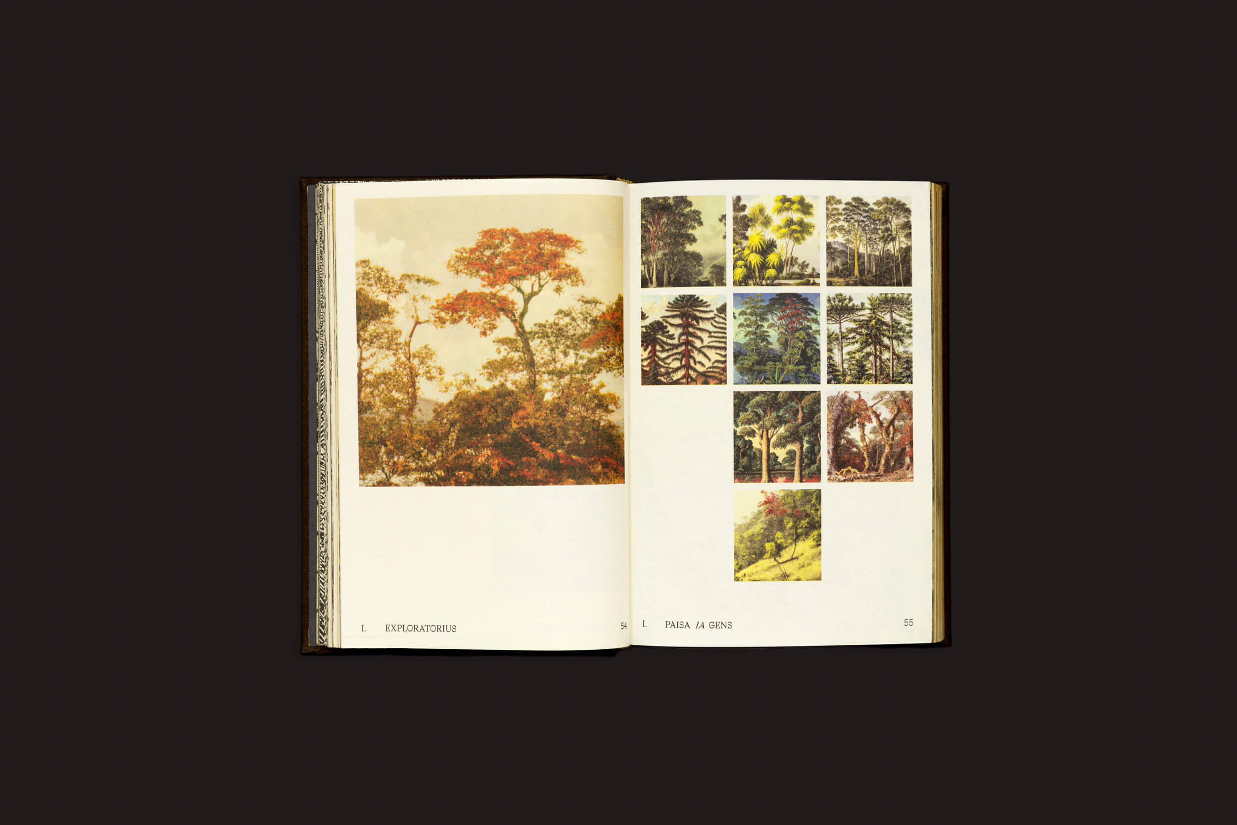 Um livro aberto exibe ilustrações botânicas. À esquerda, uma grande árvore com folhagem vermelha representa Elaine Pessoa: Exploratorius de Selo Turvo. A página da direita revela várias árvores e plantas, enquanto um fundo escuro destaca os detalhes vívidos do livro.