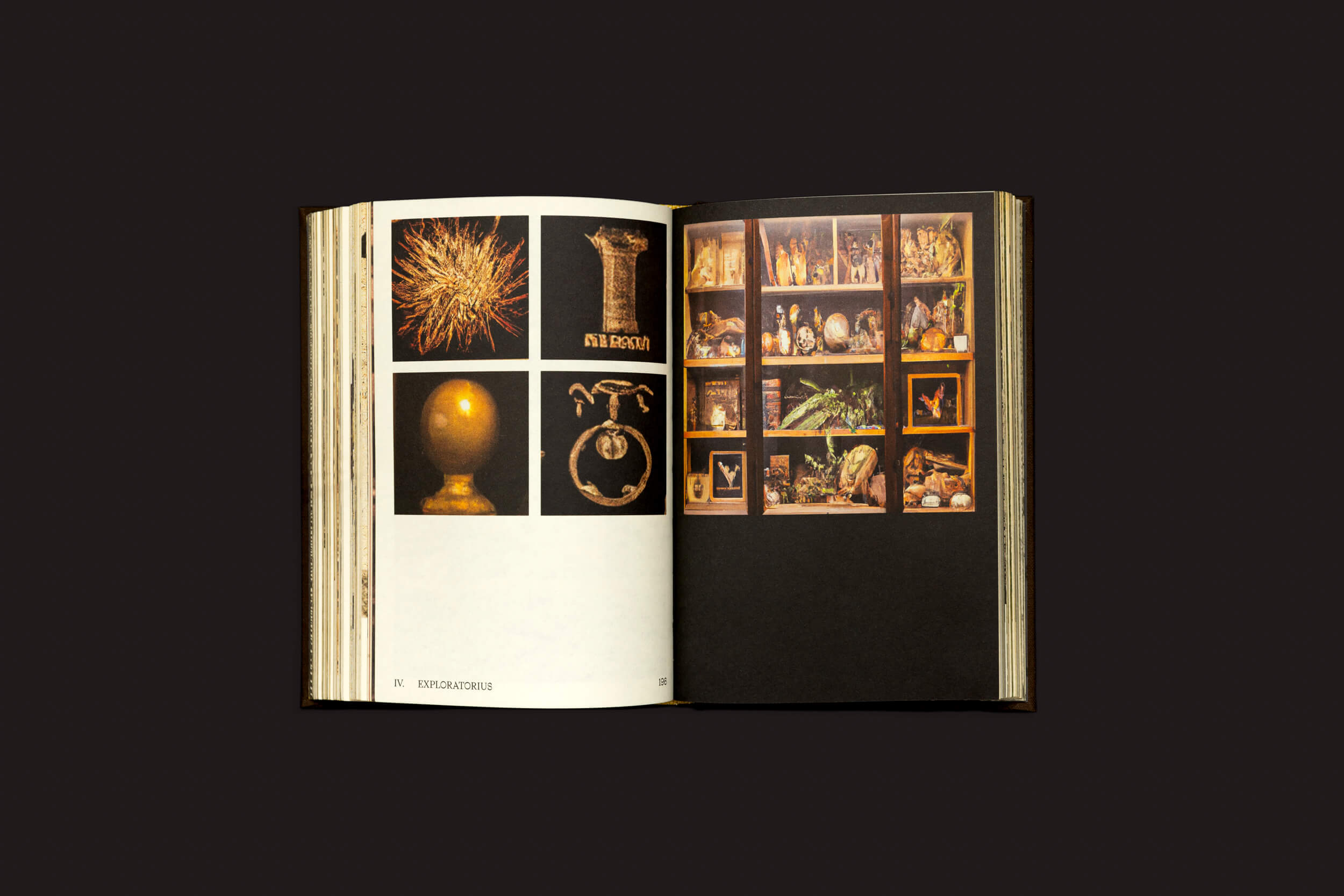 O livro aberto Elaine Pessoa: Exploratorius de Selo Turvo apresenta duas páginas ricas em imagens. A página da esquerda tem três imagens cativantes em um fundo branco, enquanto a da direita exibe uma grade de doze imagens celebrando a Natureza Brasileira contra um fundo escuro.