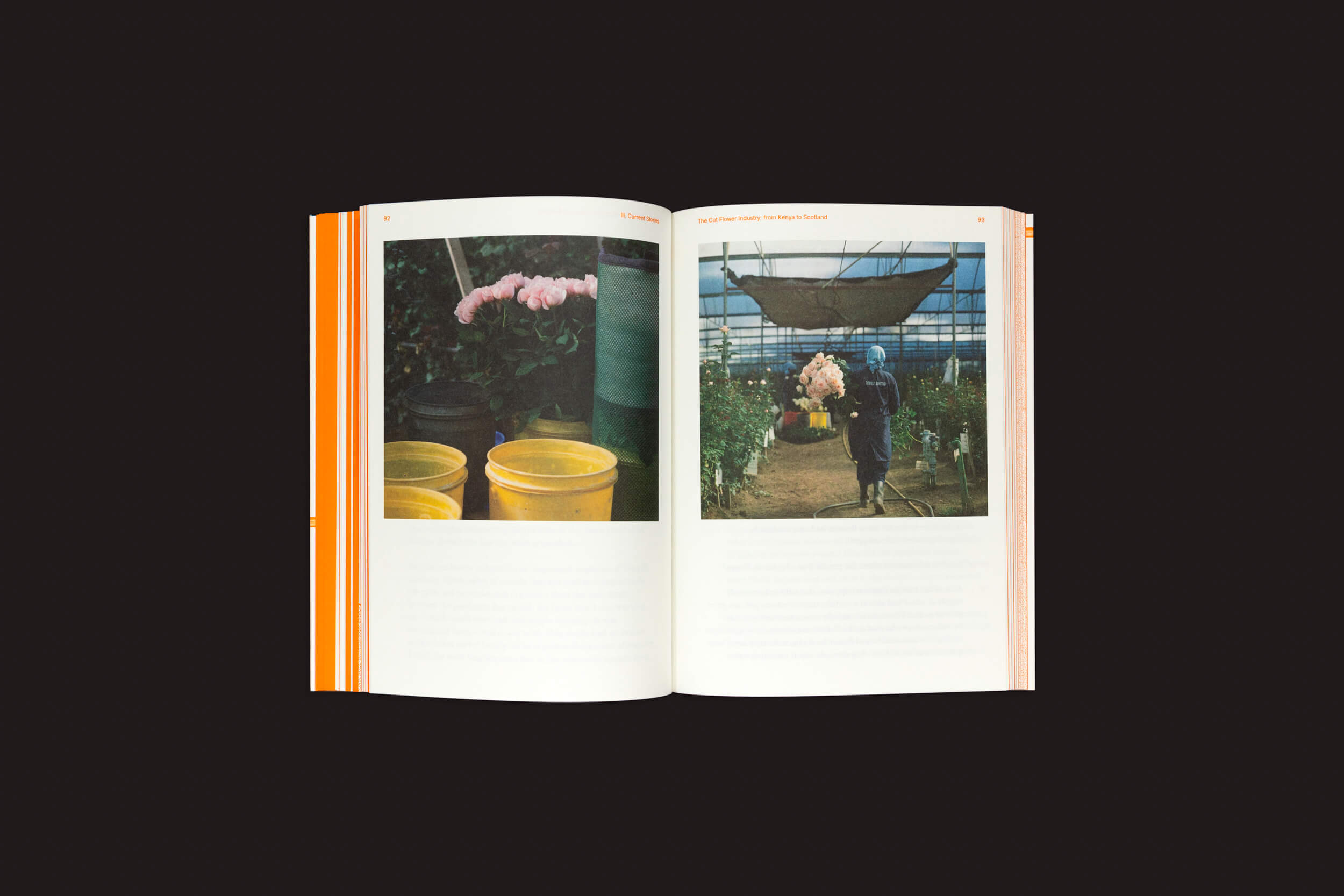 Com fundo preto, "Greenhouse Stories", de Laura Drouet e Olivier Lacrouts, da Onomatopee, retrata flores rosas em baldes amarelos na página esquerda e uma pessoa com flores rosas em uma estufa na direita, ambas as páginas narrando contos de empoderamento feminino.
