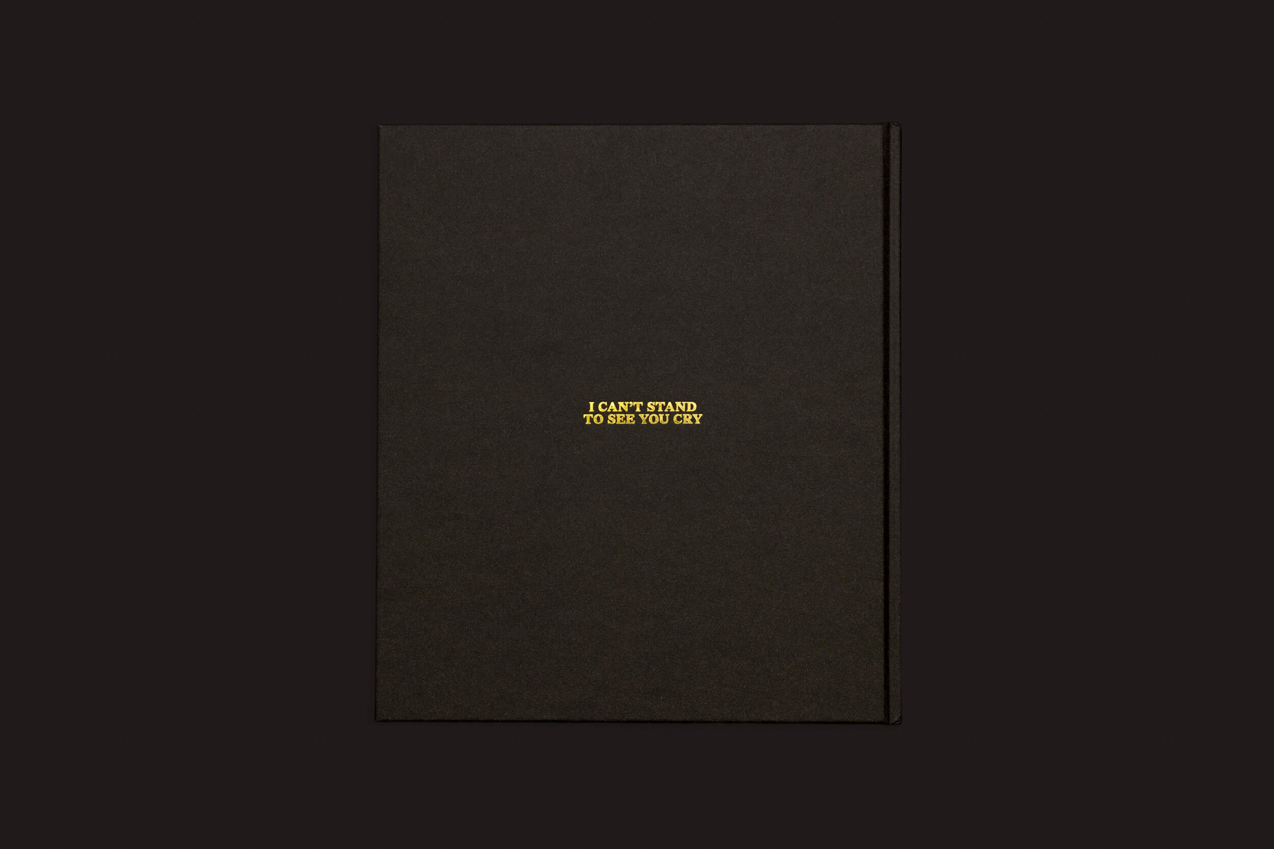 Um livro fechado verde escuro da Loose Joints sobre um fundo preto apresenta o texto dourado NÃO SUPORTO VER VOCÊ CHORAR, capturando momentos fotográficos do Texas.