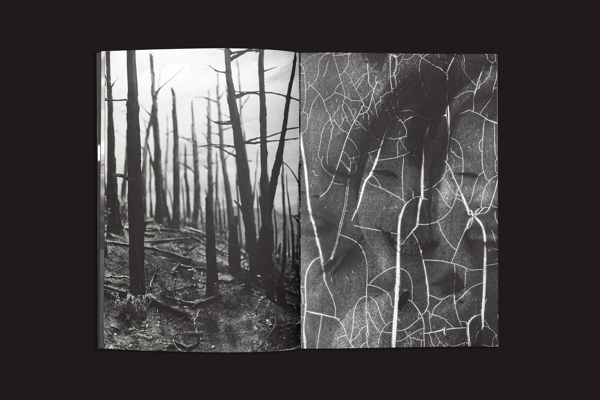 Um exemplar de "Gui Marcondes: Eu Sei Que Existo Porque Você Me Imagina", da Nearest Truth Editions, exibe uma impressionante série de fotos em preto e branco. Árvores carbonizadas e sem folhas à esquerda e padrões abstratos rachados à direita capturam a experiência humana da incerteza, ecoando as jornadas introspectivas de Marcondes.