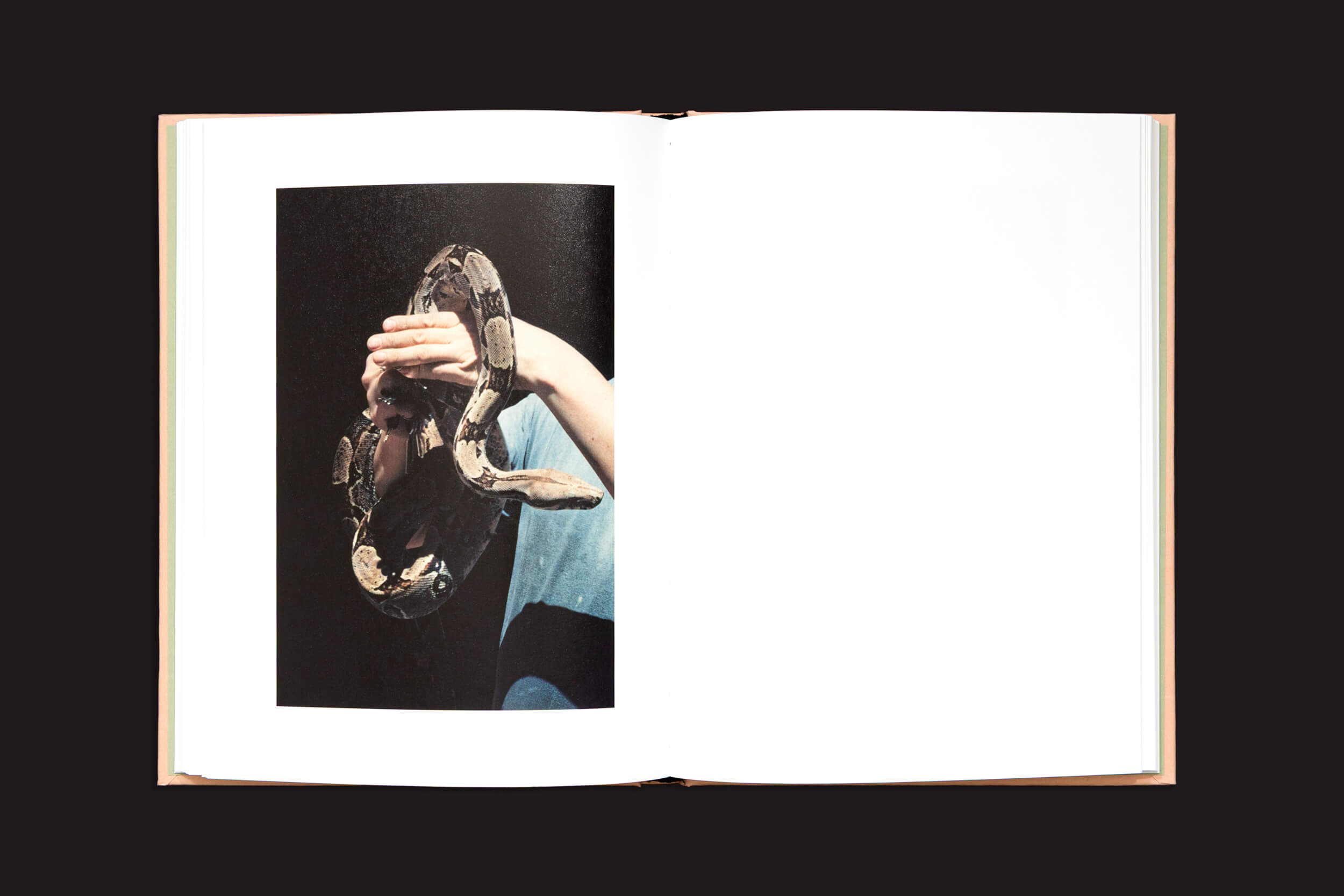 Abra "Federico Clavarino: Italia O Italia", de Void, e encontre a foto de uma pessoa de camisa azul segurando uma grande cobra na página da esquerda, realçada pelo contraste entre o fundo escuro e as marcas mais claras da cobra. A página da direita permanece em branco, convidando a imaginação a divagar.