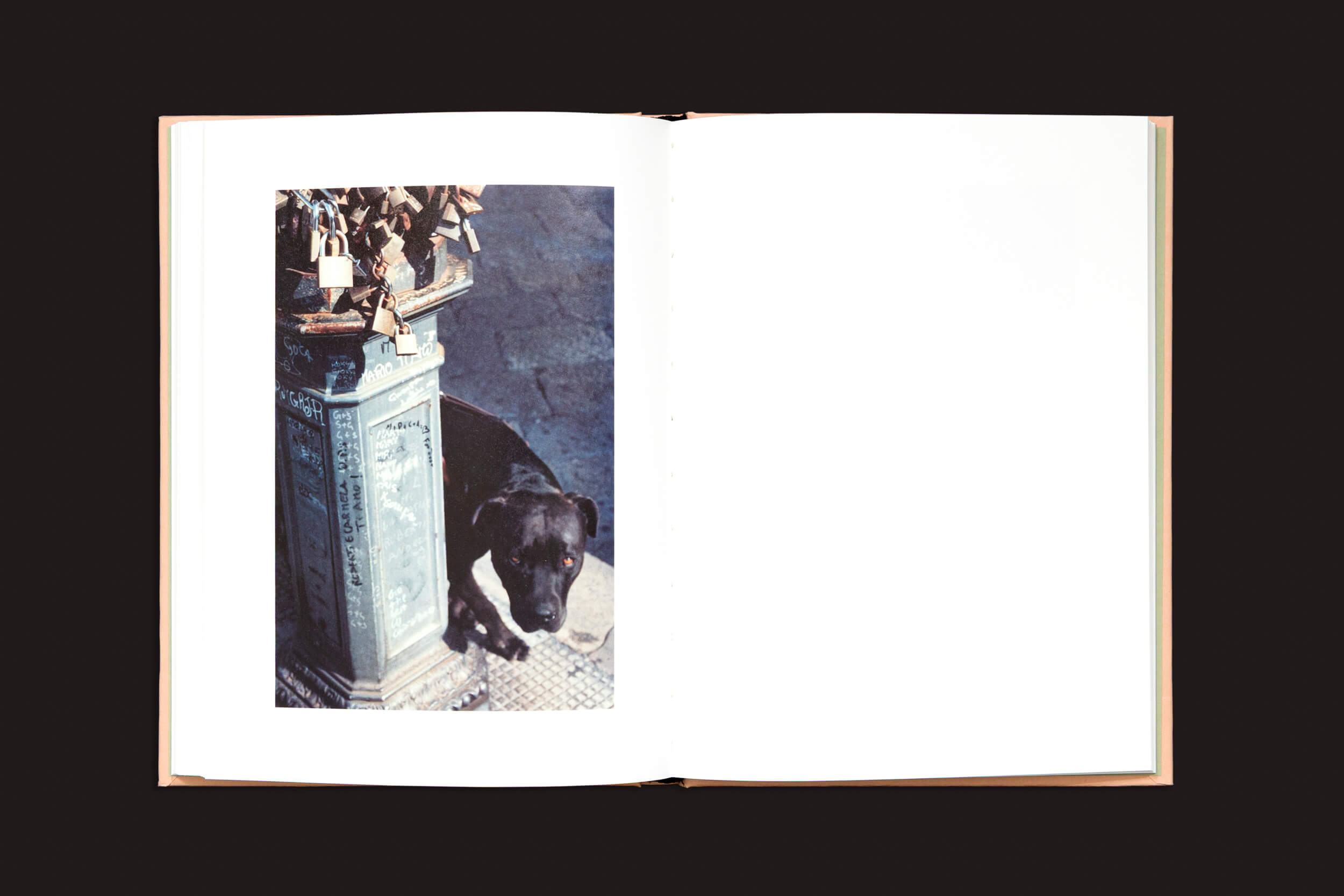 Um livro aberto exibe uma fotografia simbólica de Federico Clavarino, de "Itália O Itália", à esquerda, com um cão preto descansando junto a uma coluna decorativa encimada por uma planta. A página da direita permanece em branco, convidando à contemplação deste fotolivro evocativo. Marca: Void.