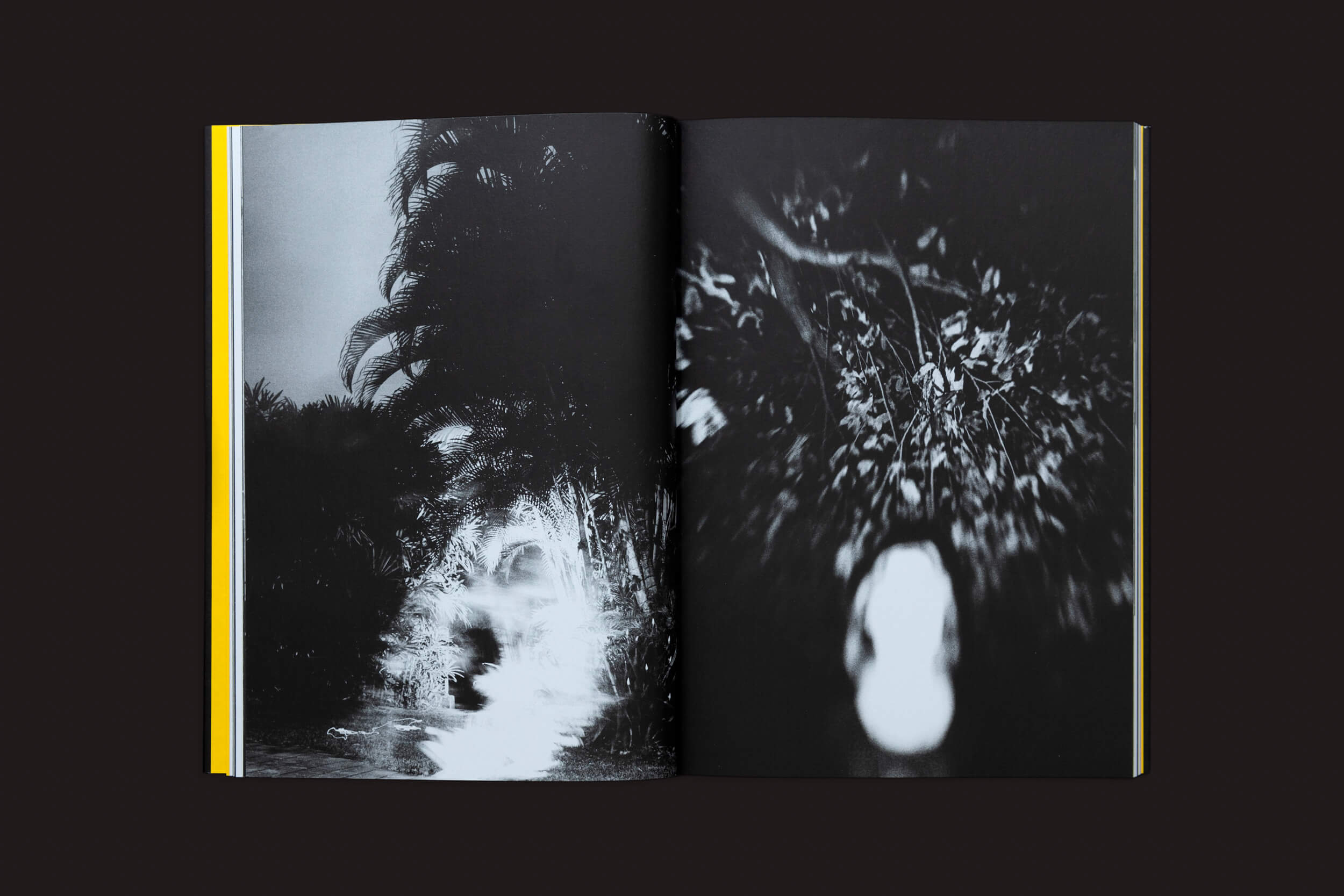 Klexos, de Artur Lahoz, do Selo Turvo, apresenta um livro aberto com fotografias abstratas em preto e branco: a página da esquerda exibe uma forma brilhante e borrada perto da folhagem, enquanto a da direita retrata uma forma branca vaga em meio a plantas, evocando temas de memória e Klexos contra um fundo escuro.
