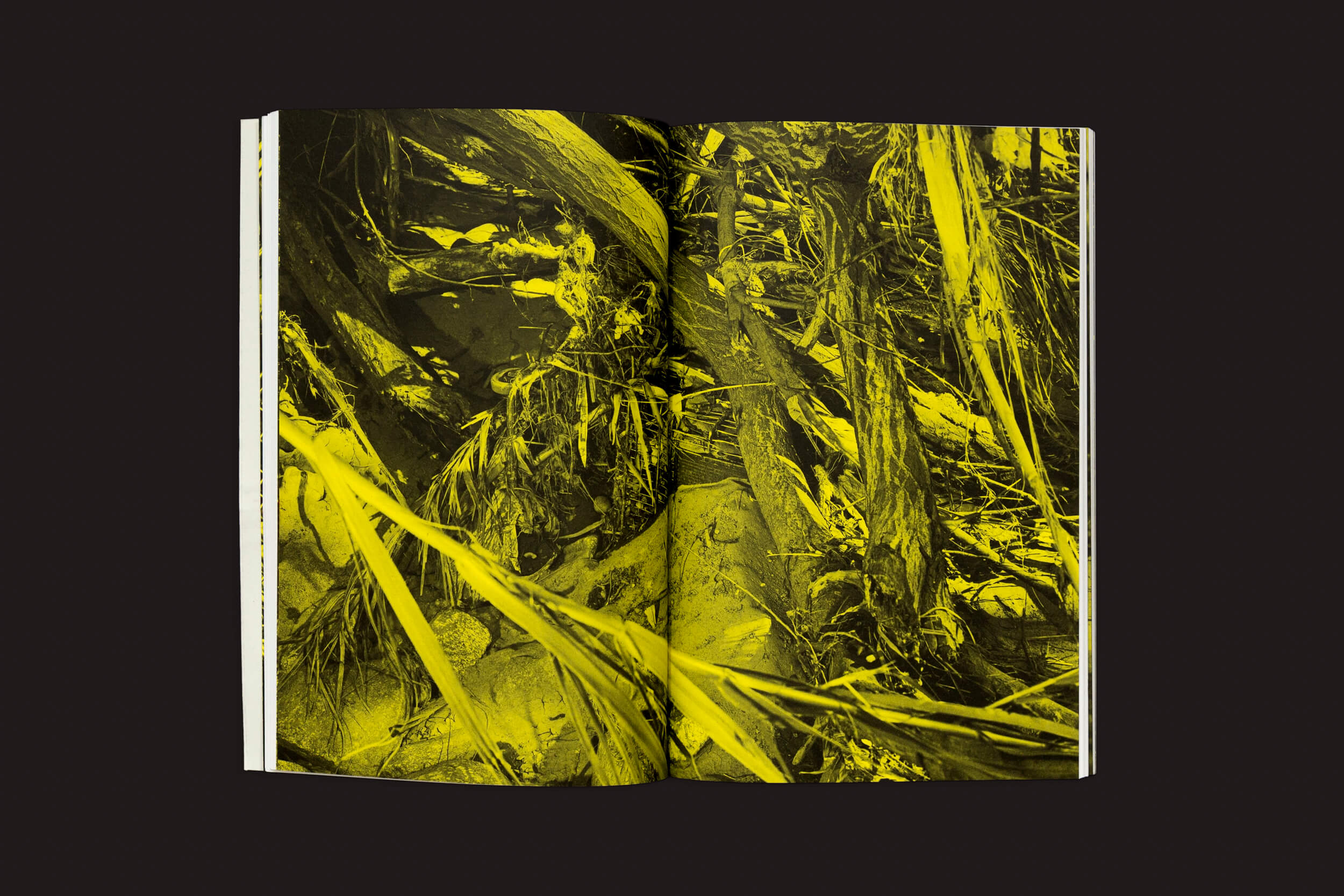 Thomas Locke Hobbs: L.A. Vedute, da Eriskay Connection, apresenta uma foto com tons de amarelo revelando uma folhagem densa e caótica, onde folhas e galhos sobrepostos se destacam contra um fundo escuro, realçando a vivacidade da natureza capturada no livro.