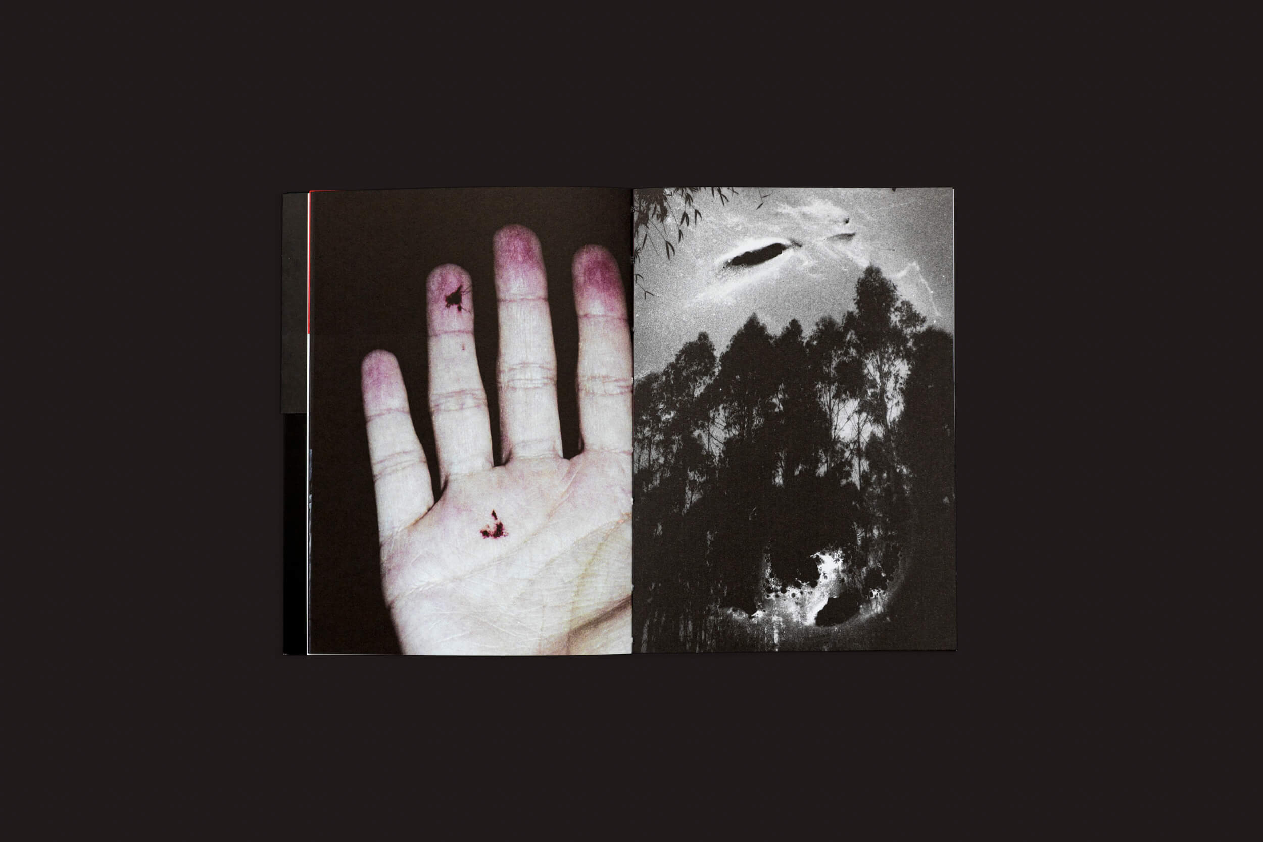 O livro aberto Claudio Albarrán Briso: La herida del hombre da SED Editorial apresenta uma foto assustadora de uma mão cortada à esquerda e uma floresta noturna com silhuetas de árvores sob um céu nublado à direita, simbolizando encontros simbólicos e criando uma atmosfera assustadora.