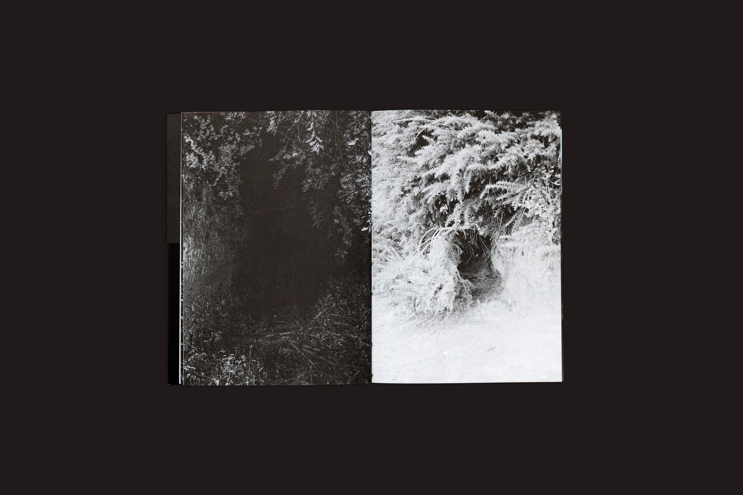 No livro aberto Claudio Albarrán Briso: La herida del hombre da SED Editorial, a página da esquerda mostra uma foto escura e sombreada sugerindo encontros simbólicos, enquanto a página da direita apresenta uma imagem mais clara ecoando folhagens ou cenas naturais, contra um fundo preto sólido.