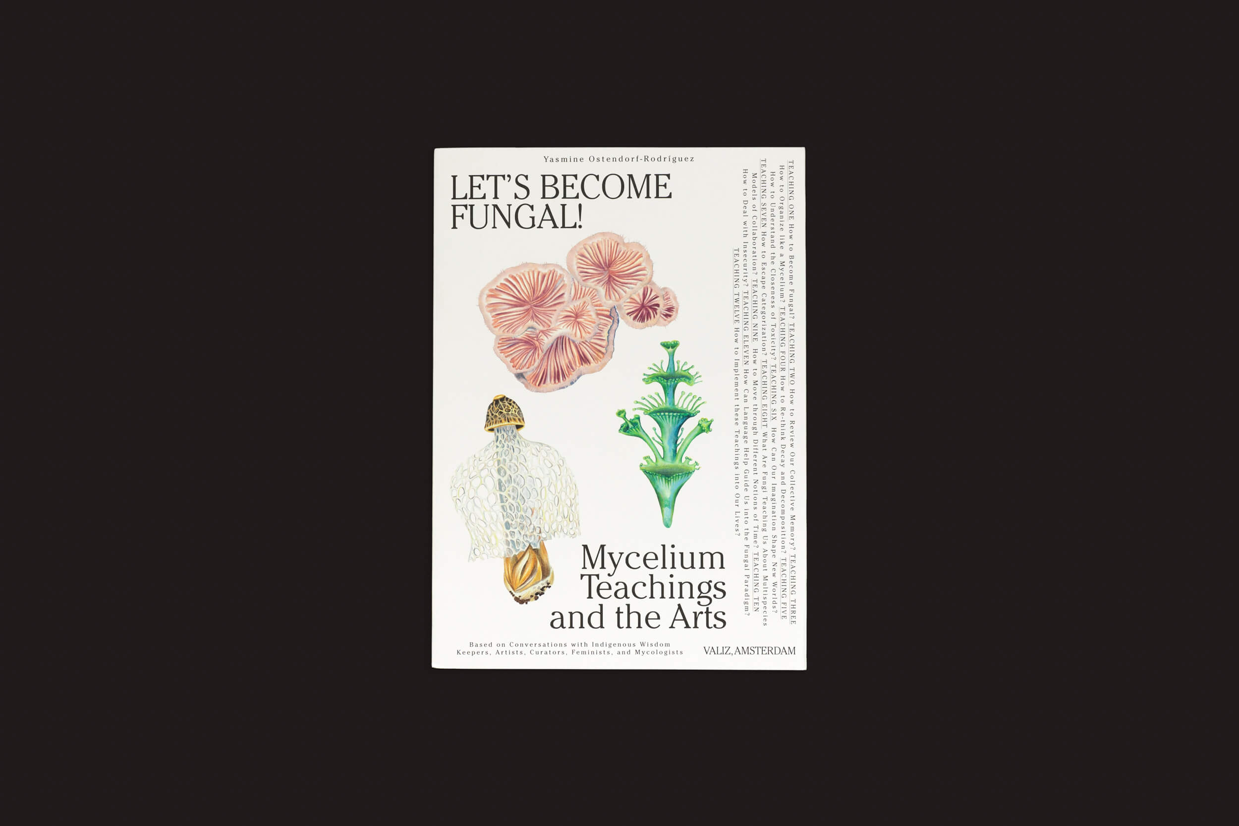 O pôster de Valiz, "Vamos nos tornar fungos! - Aprendizado micelial e artes", de Yasmine Ostendorf-Rodríguez, apresenta ilustrações de vários fungos com texto sobre as maravilhas da micologia em um fundo preto.