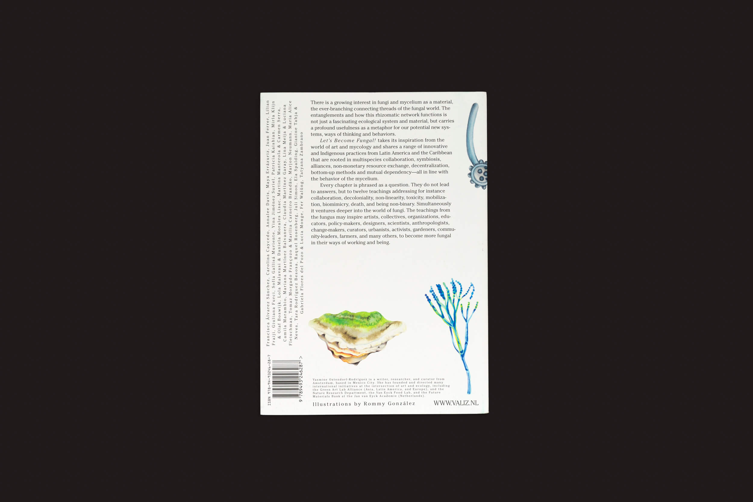 Explore a fusão enigmática de origens vegetais e micologia na contracapa de "Let’s Become Fungal! - Mycelial Learning and the Arts" de Yasmine Ostendorf-Rodríguez. Uma ilustração de terra em camadas com uma planta azul brotando e micélio, ao lado de um pequeno emblema, adorna seu fundo preto. Marca: Valiz.